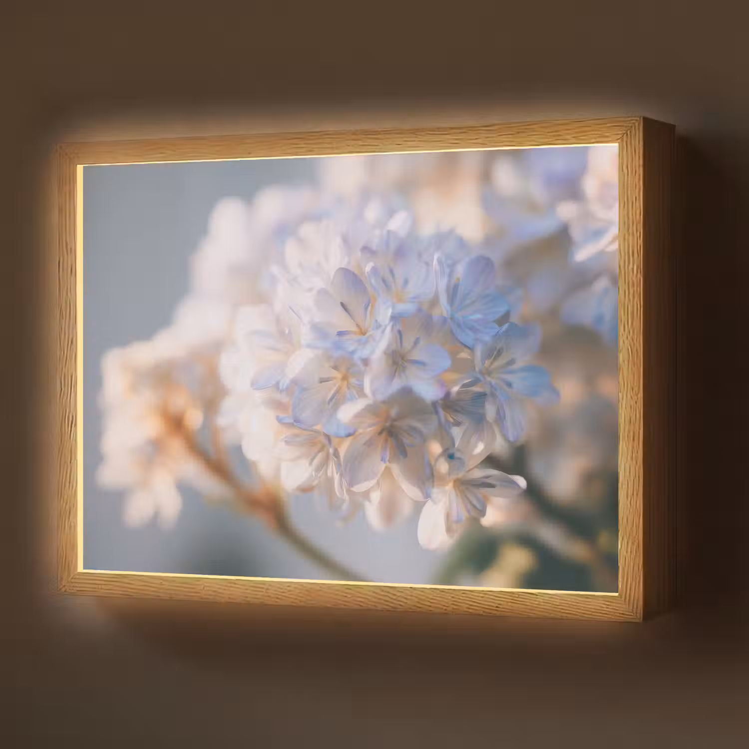 Bloemen - Lichtblauw - Wazig - Trosje Light Box met batterij (Wandlamp) middel -z3d_website