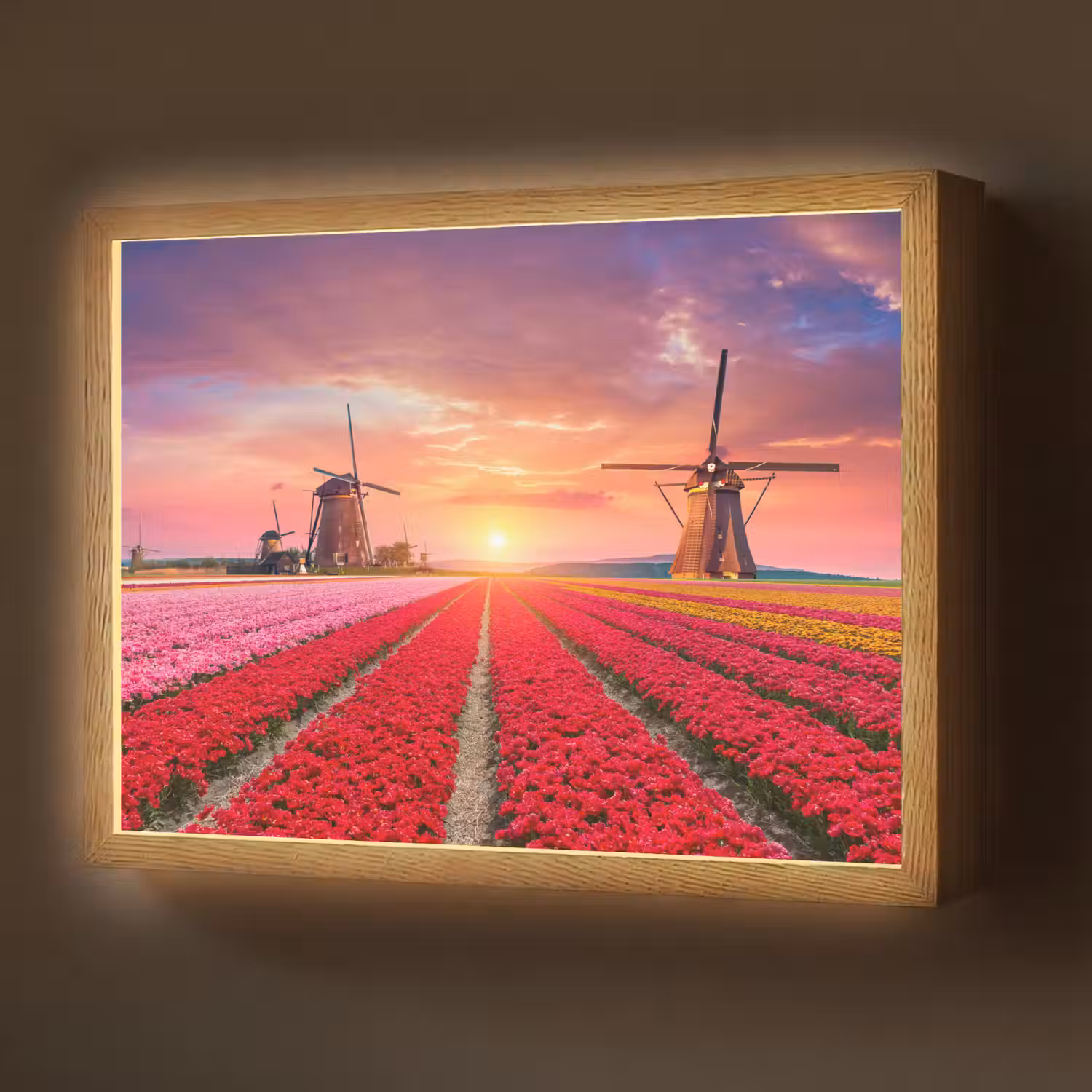 Bloemen - Tulpen - Bloemenveld - Molens - Holland Light Box met batterij (Wandlamp) middel -z3d_website