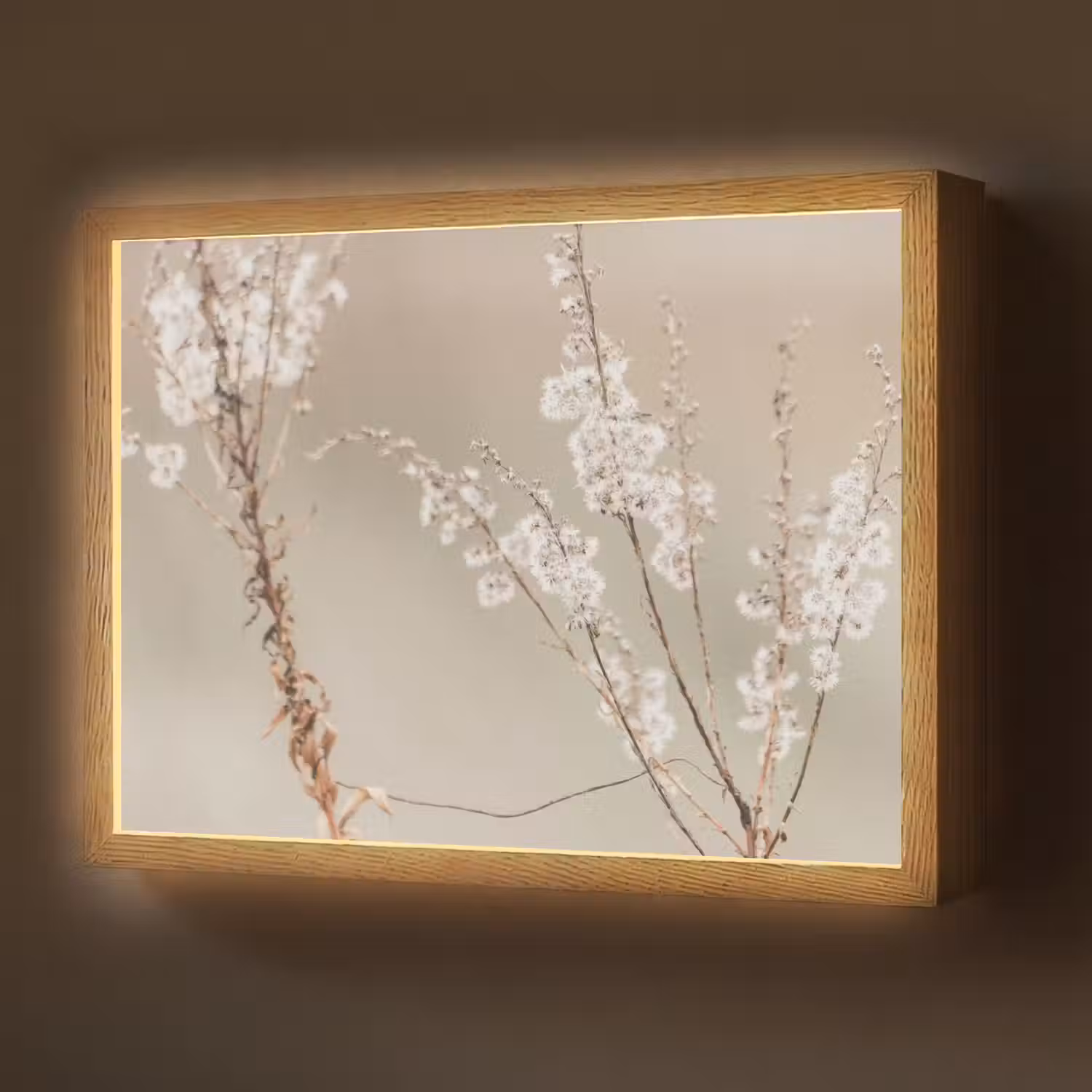 Bloemen - Wit - Planten Light Box met batterij (Wandlamp) middel -z3d_website