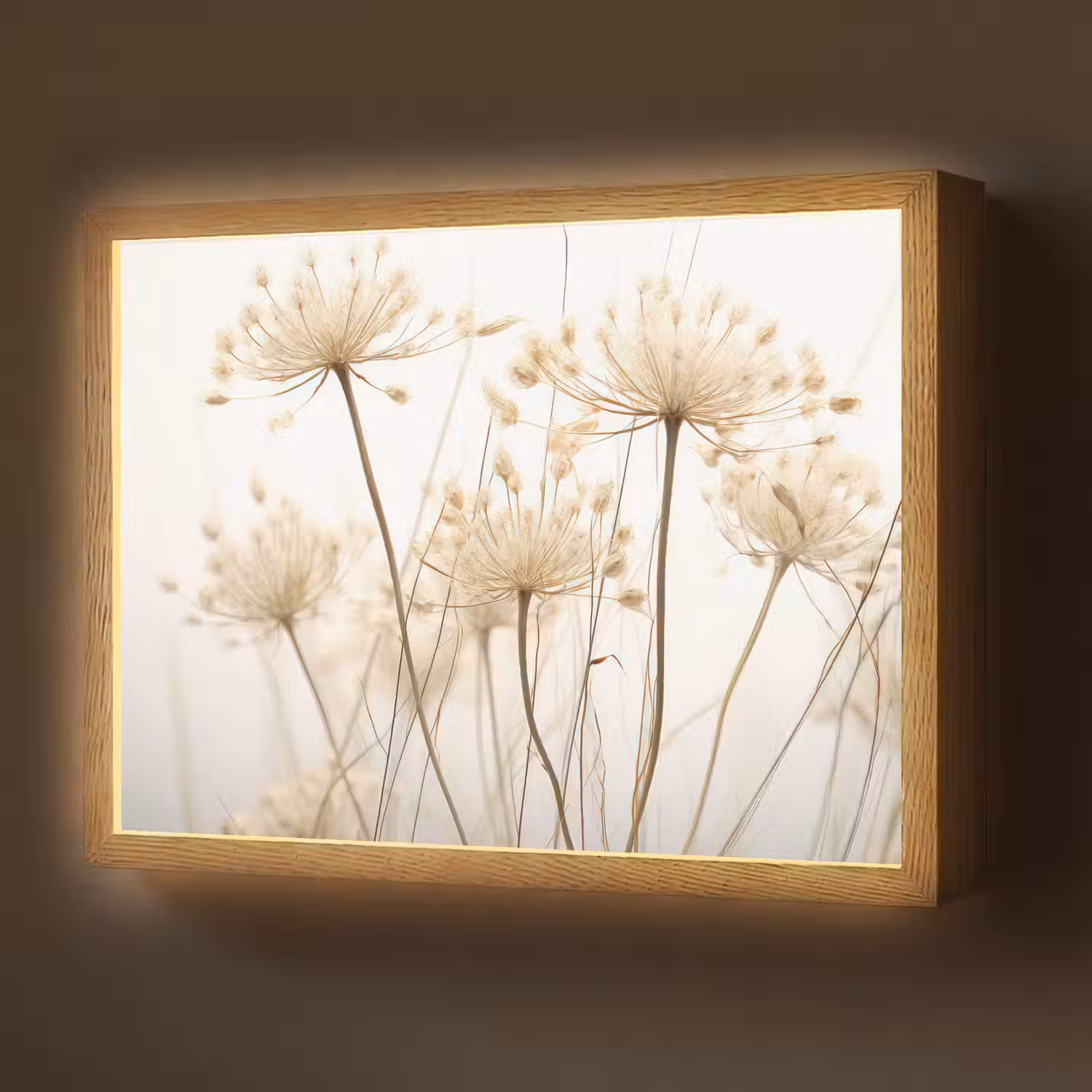 Bloemen - Wit - Zonlicht Light Box met batterij (Wandlamp) middel -z3d_website
