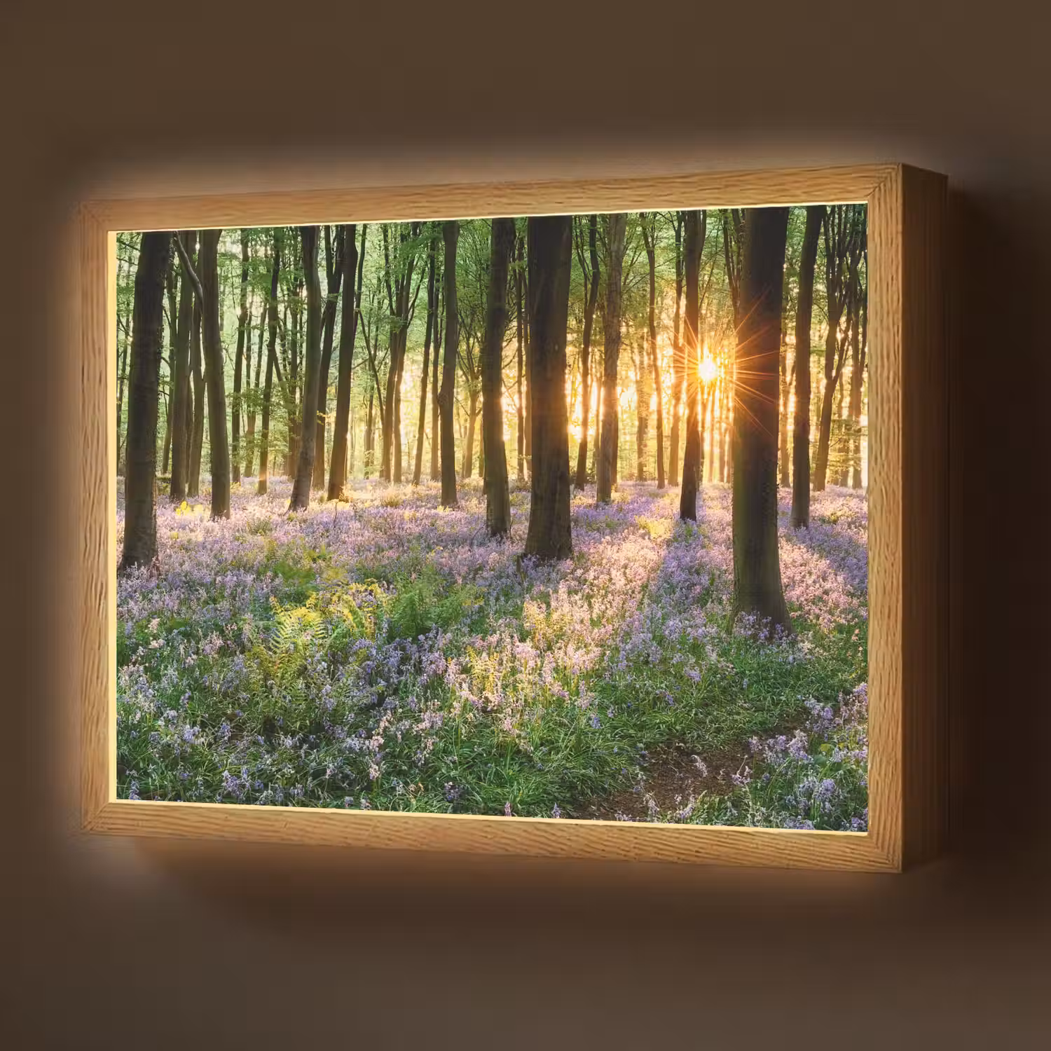 Bos - Bloemen - Lavendel - Zon - Paars - Natuur Light Box met batterij (Wandlamp) middel -z3d_website