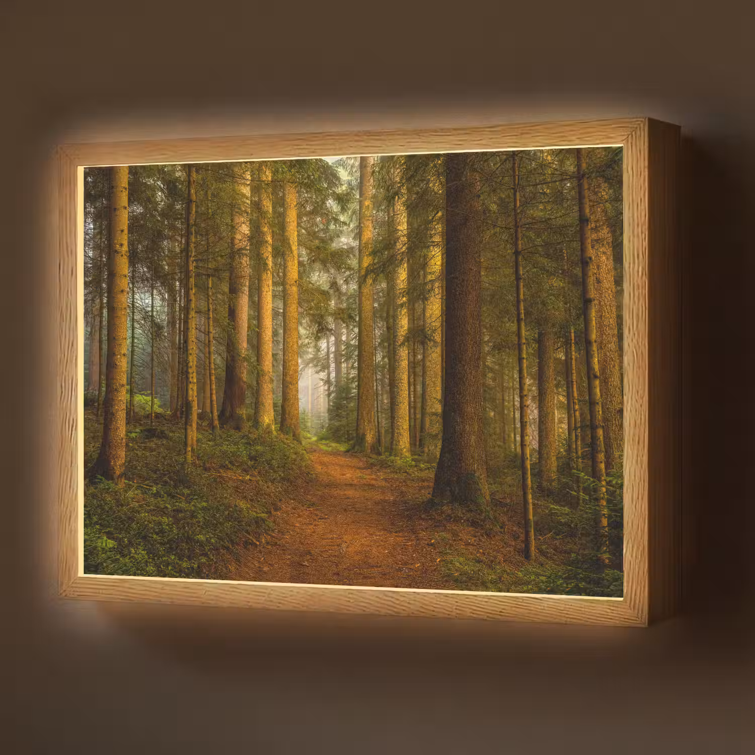 Bos - Natuur - Bomen - Landschap - Bladeren Light Box met batterij (Wandlamp) middel -z3d_website