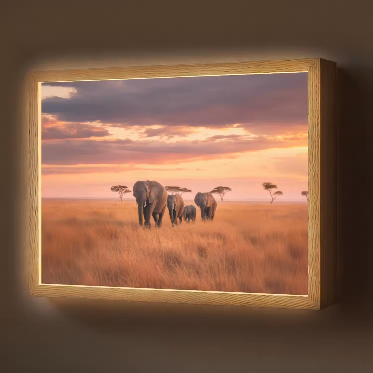 Groep olifanten - Open vlakte - Zon Light Box met batterij (Wandlamp) middel -z3d_website
