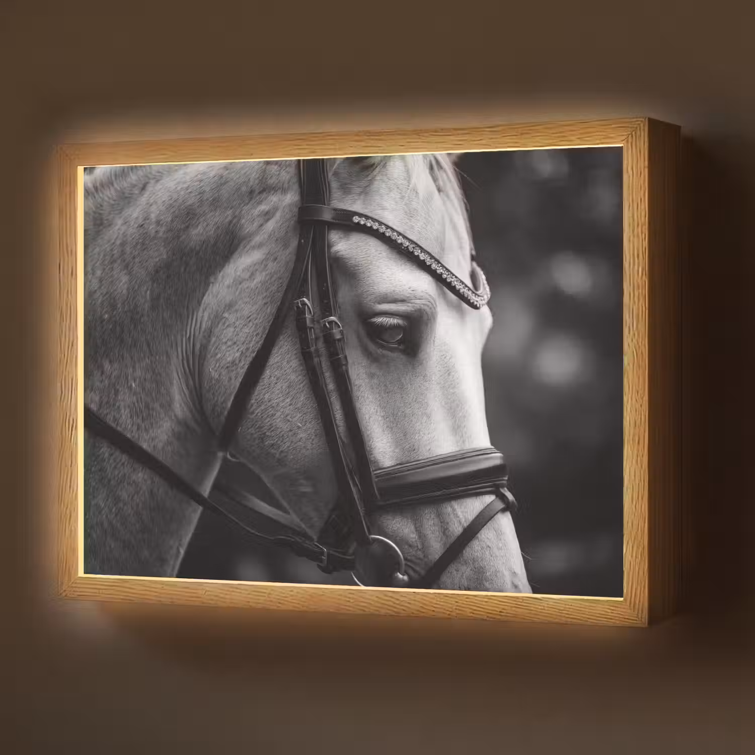 Paard - Schimmel - Portret Light Box met batterij (Wandlamp) middel -z3d_website