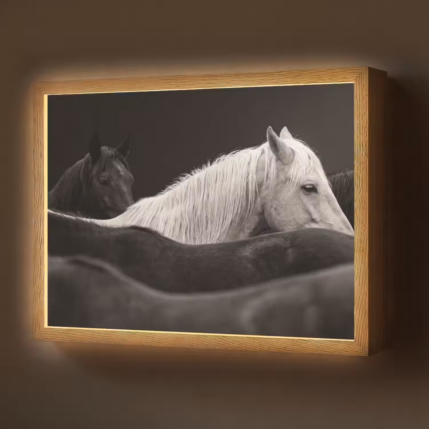 Paarden - Zwart - Wit - Kudde Light Box met batterij (Wandlamp) middel -z3d_website