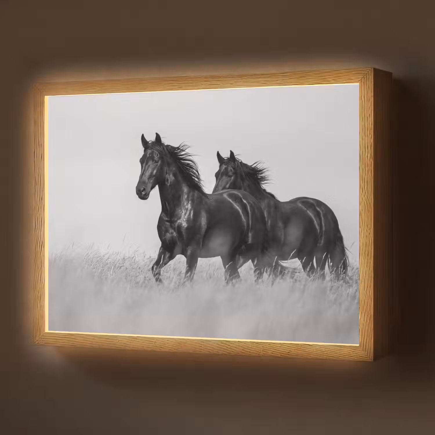 Paarden - Gras - Zwart - Wit Light Box met batterij (Wandlamp) middel -z3d_website