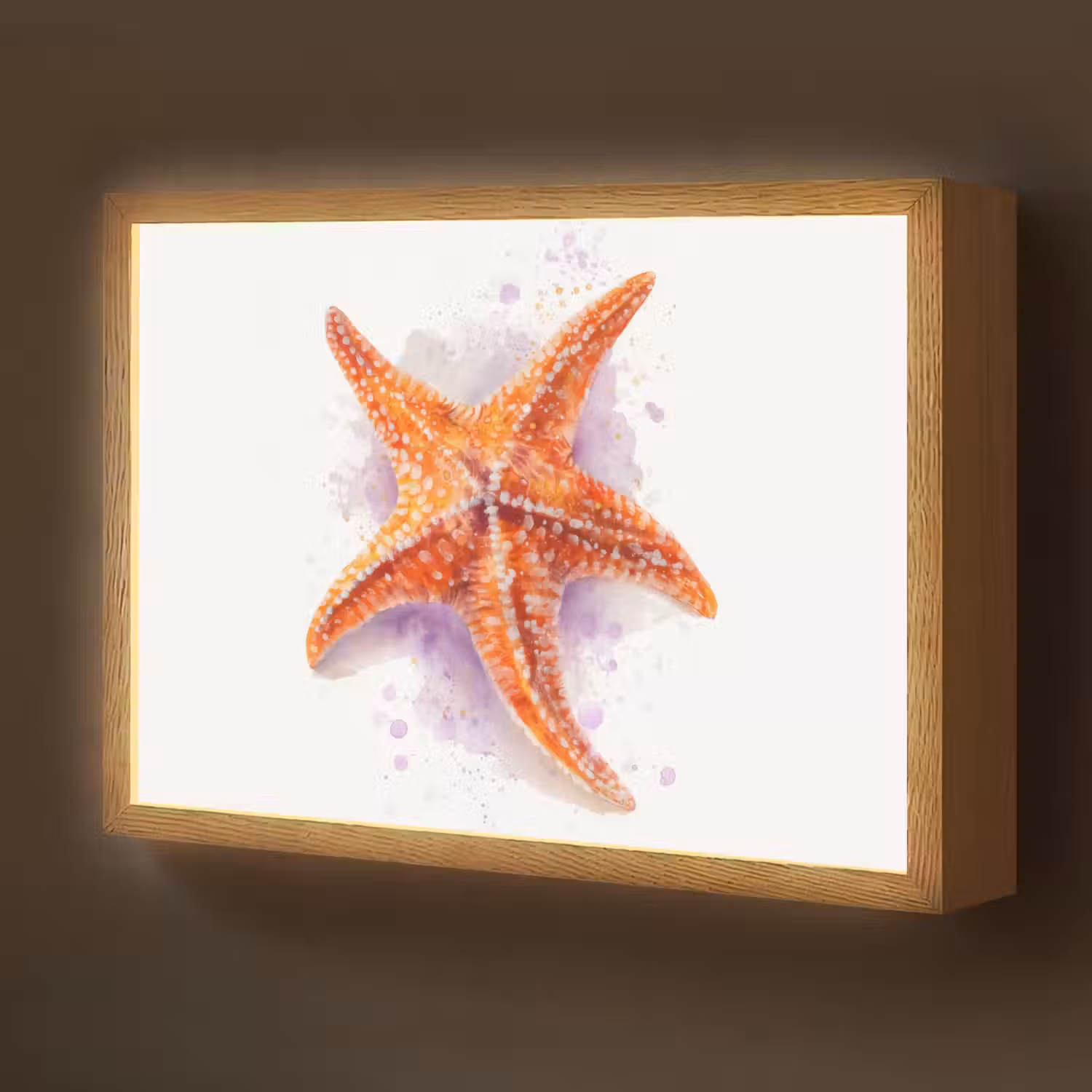 Zeester - Oranje - Paars Light Box met batterij (Wandlamp kind) middel -z3d_website