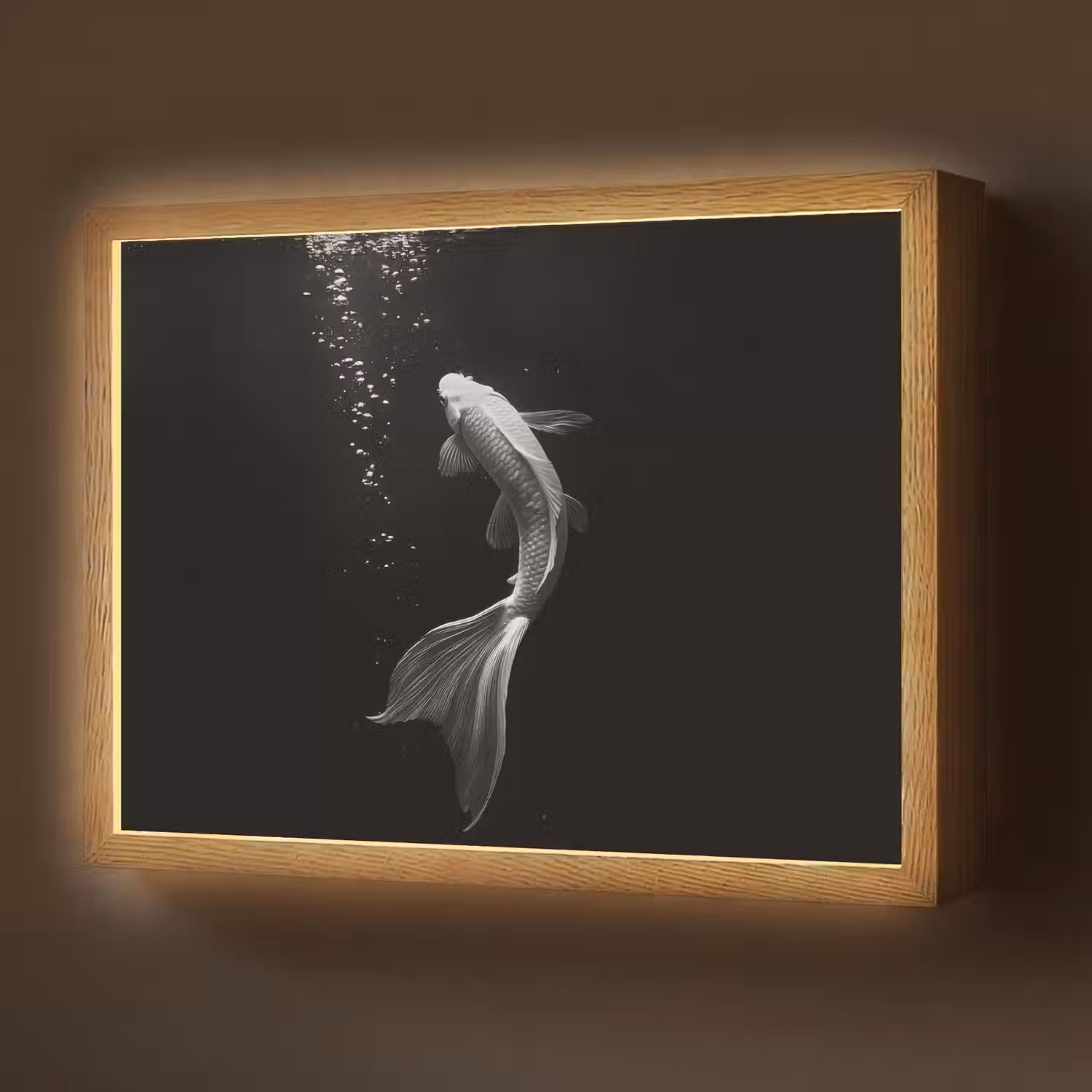 Koi - Vis - Wit - Zwart Light Box met batterij (Wandlamp) middel -z3d_website