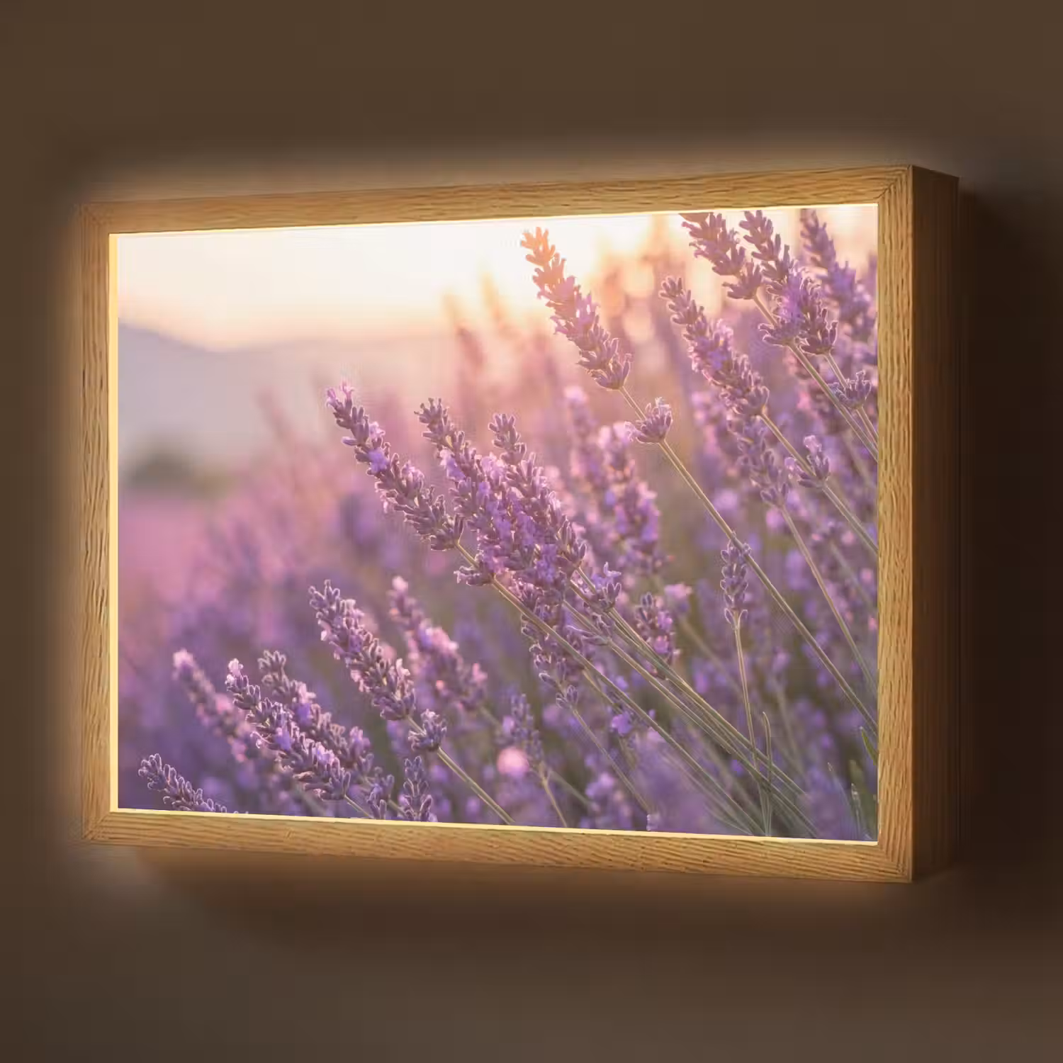 Lavendel - Paars - Zonlicht Light Box met batterij (Wandlamp) middel -z3d_website