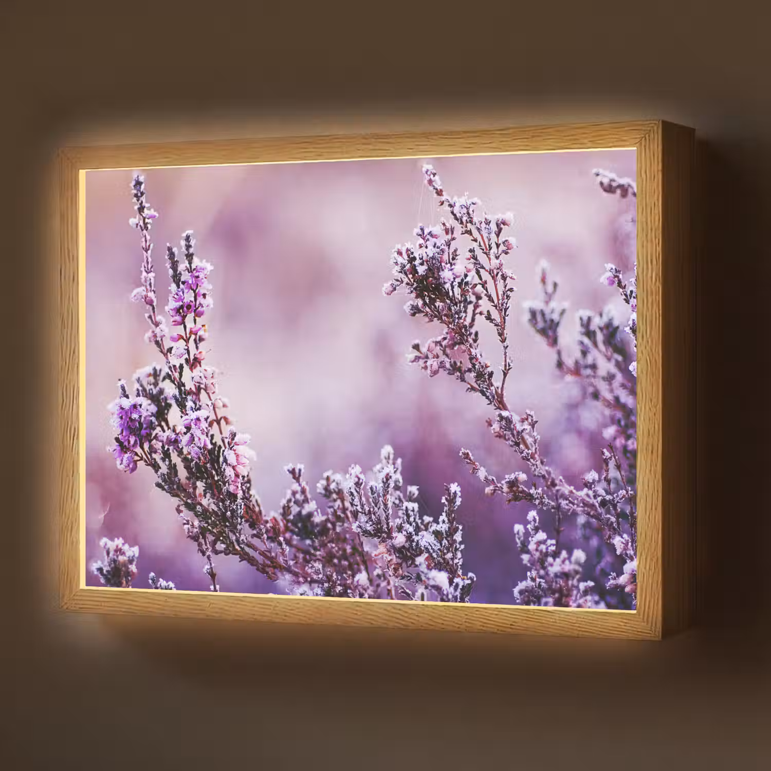 Lavendel - Winter - Bloemen - Paars Light Box met batterij (Wandlamp) middel -z3d_website