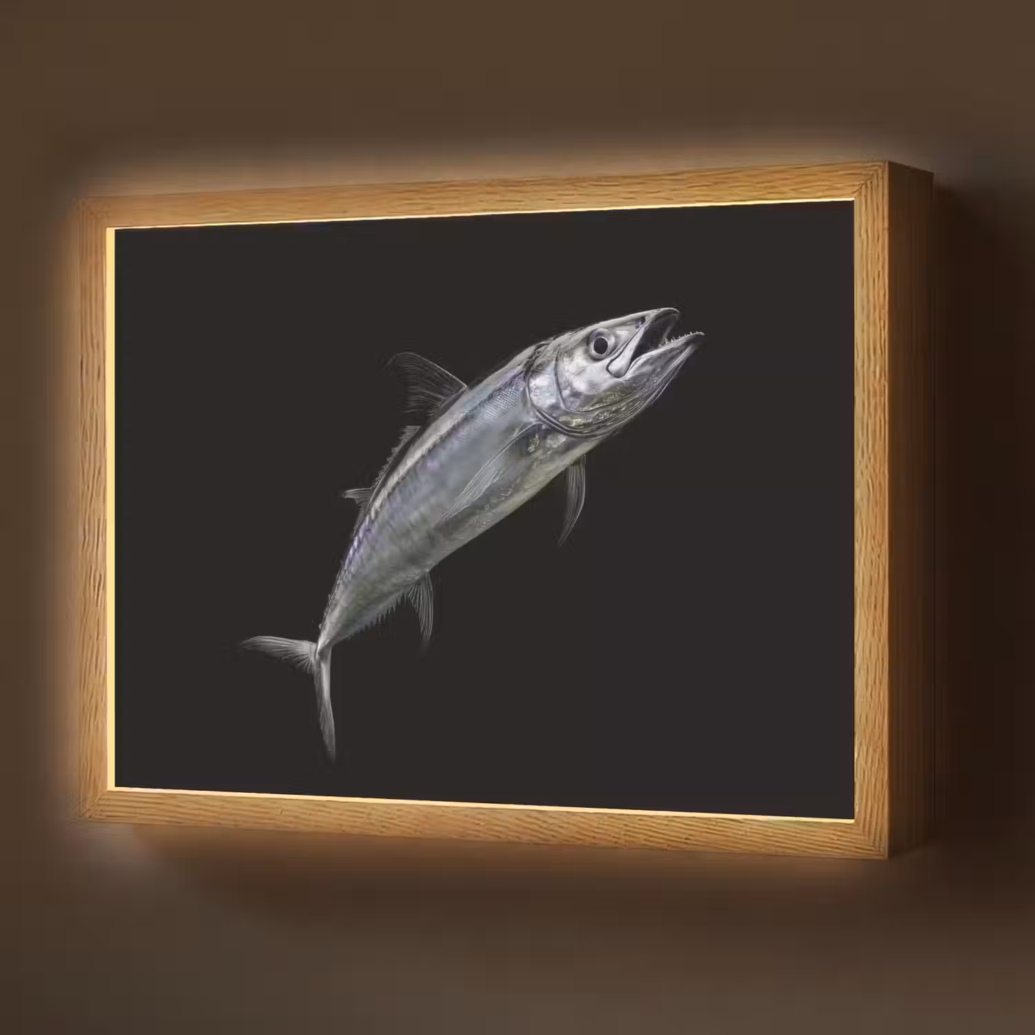 Makreel - Vis - Zwart Light Box met batterij (Wandlamp) middel -z3d_website