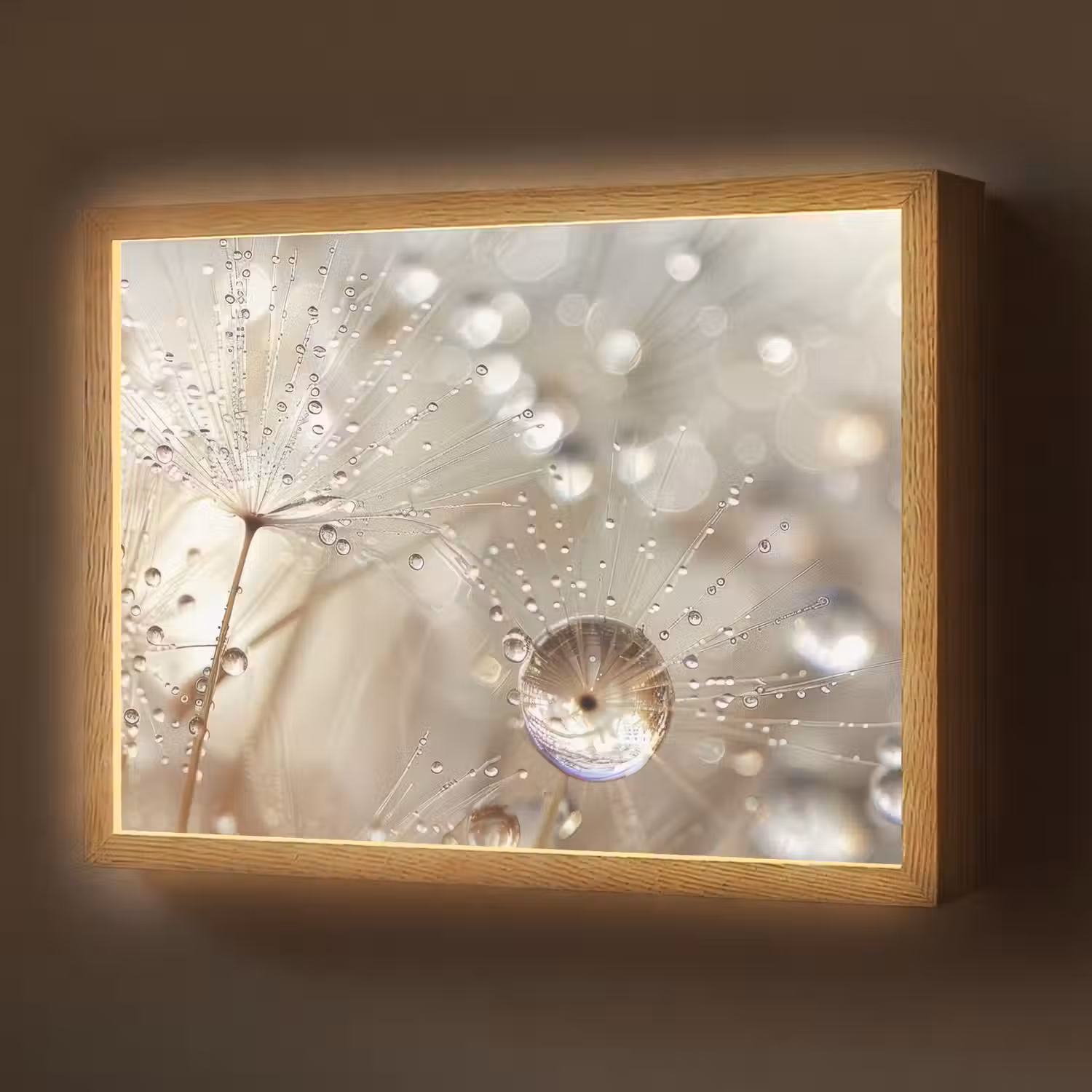 Natuur - Bloemen - Druppels - Regen Light Box met batterij (Wandlamp) middel -z3d_website