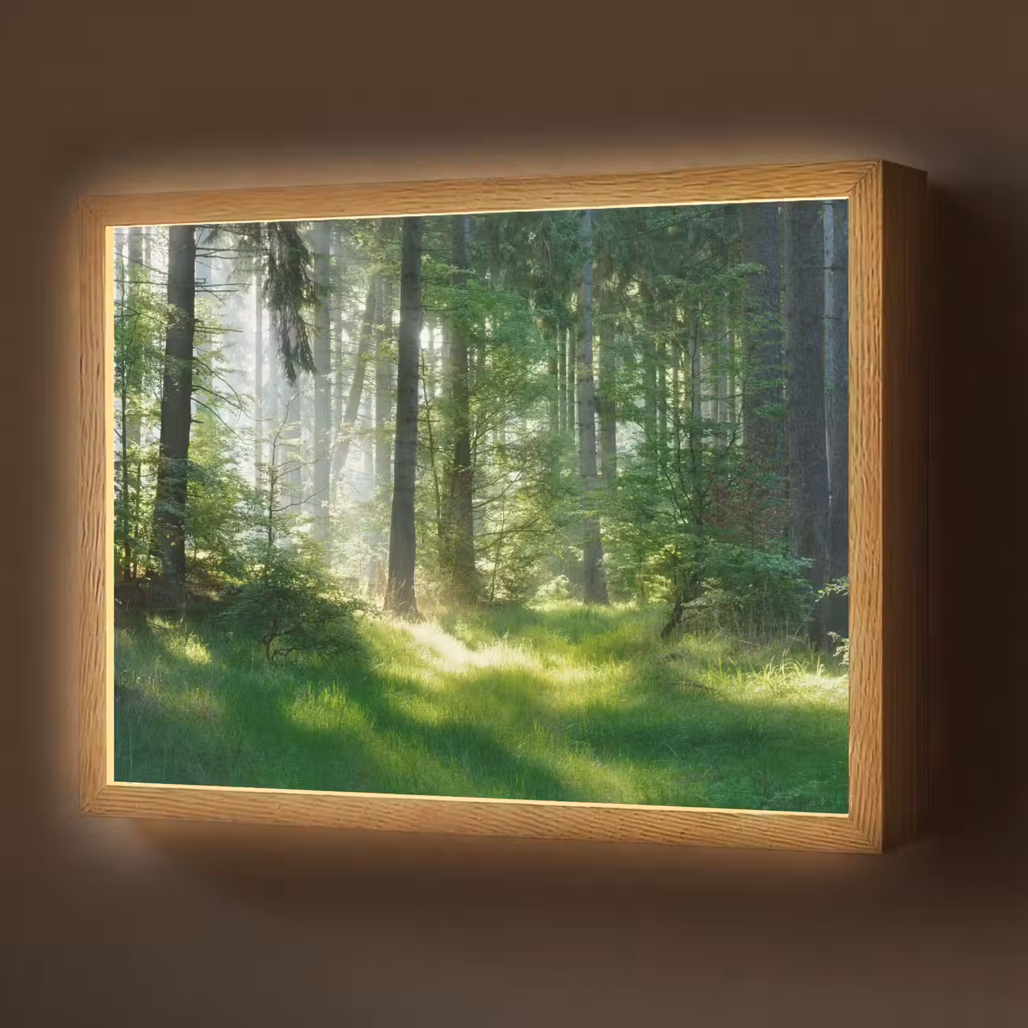 Natuur - Bomen - Bos - Groen - Zon - Gras - Planten Light Box met batterij (Wandlamp) middel -z3d_website