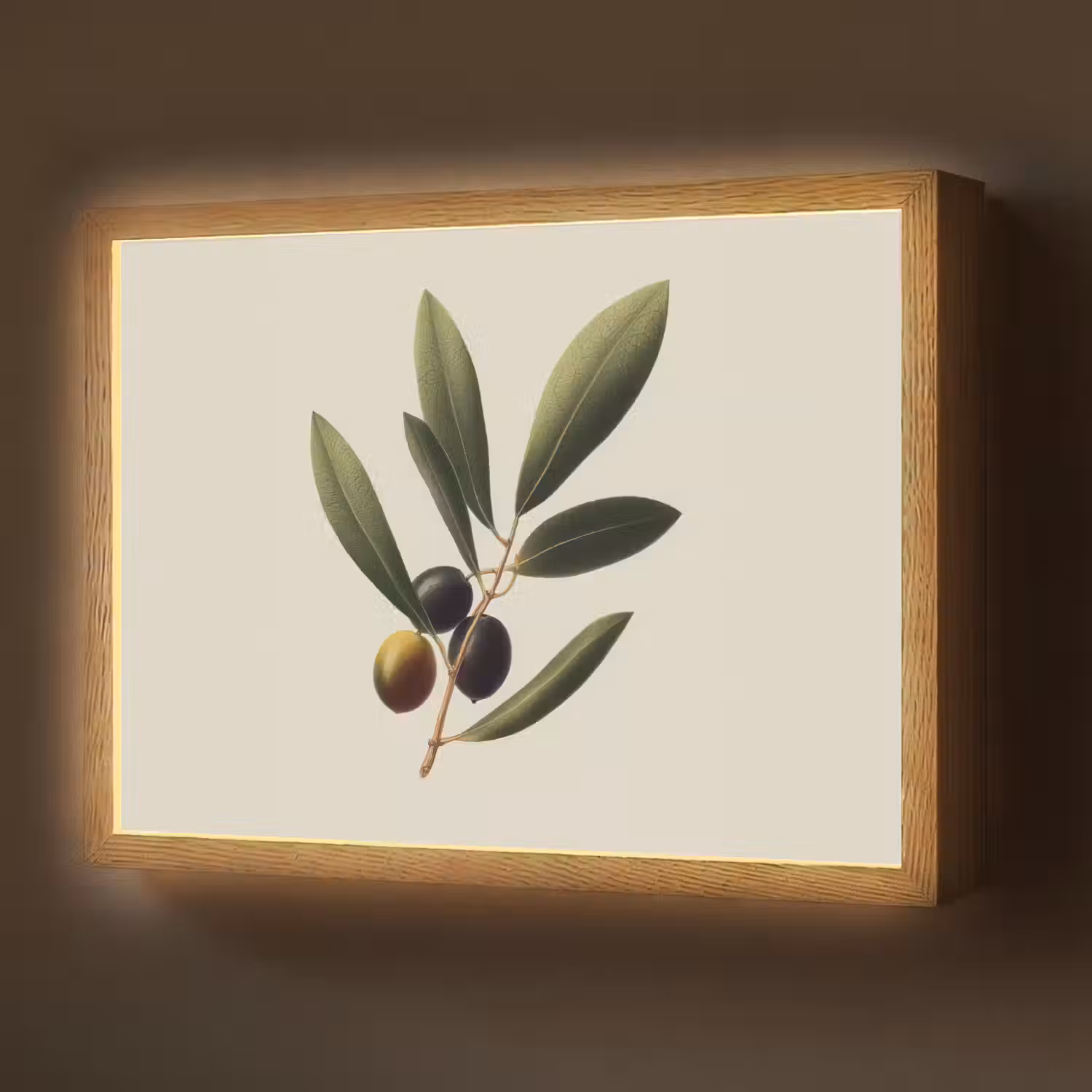 Olijftak - Donkergroen - Olijven Light Box met batterij (Wandlamp) middel -z3d_website