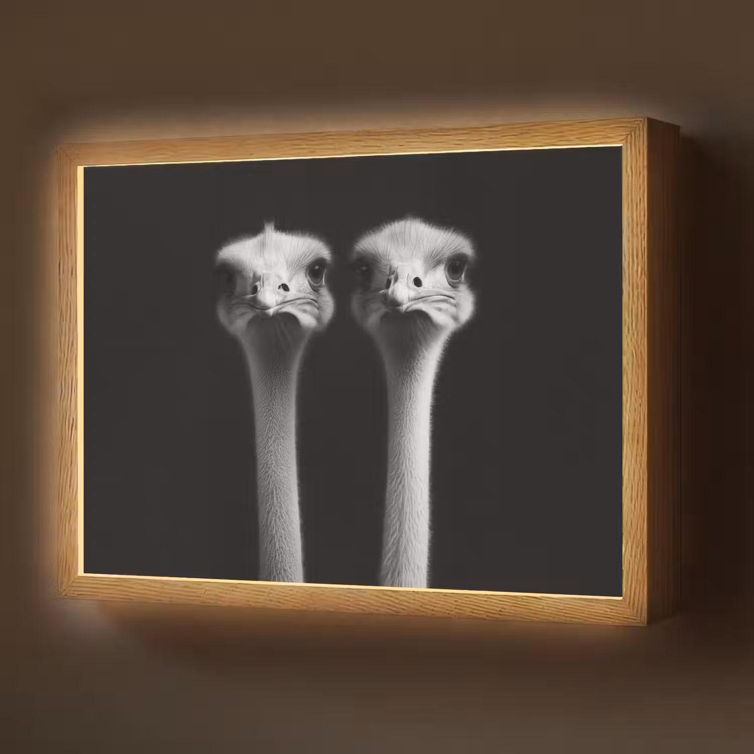 Struisvogels - Halzen - Zwart - Minimalistisch Light Box met batterij (Wandlamp) middel -z3d_website