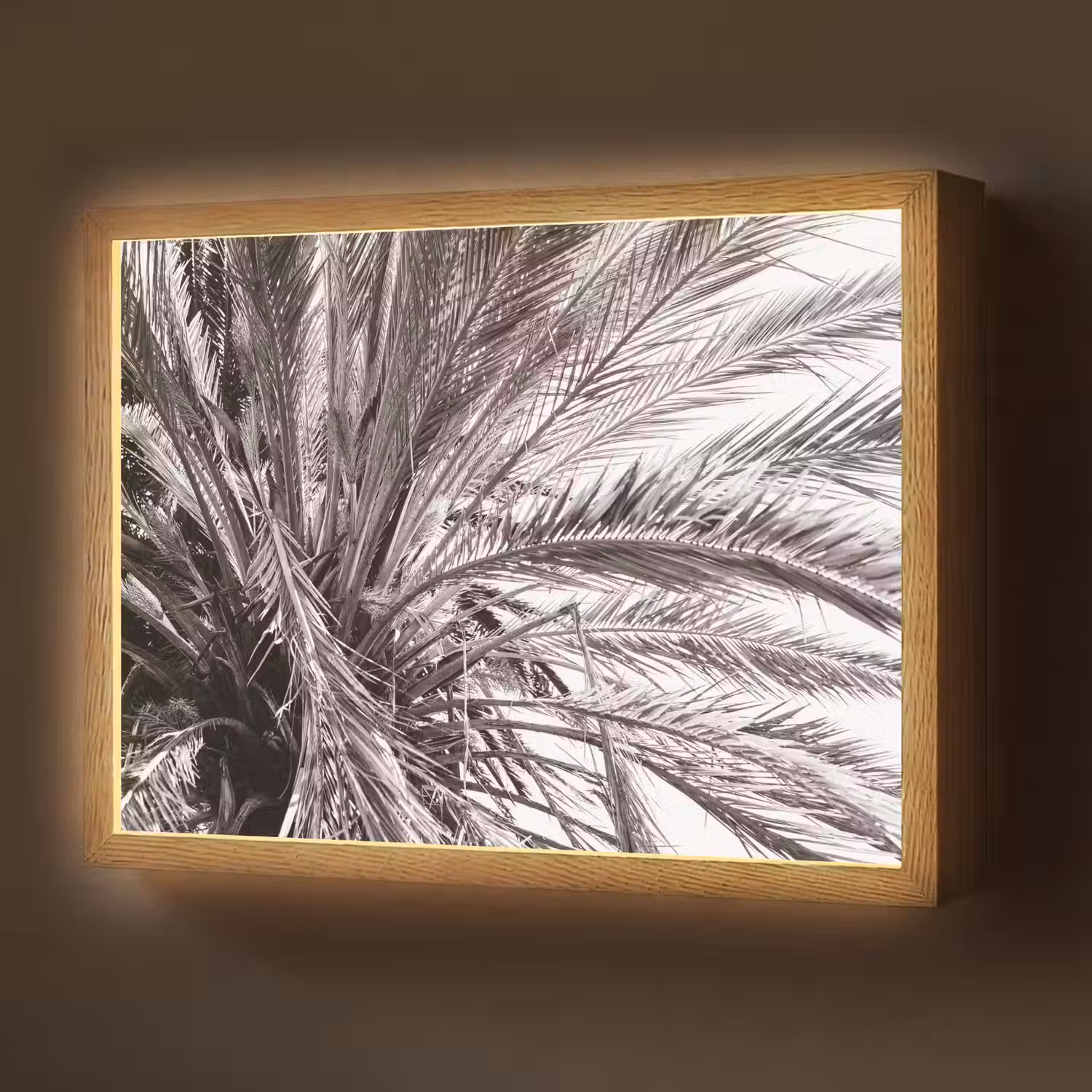 Palmboom - Tropisch - Zwart - Wit Light Box met batterij (Wandlamp) middel -z3d_website