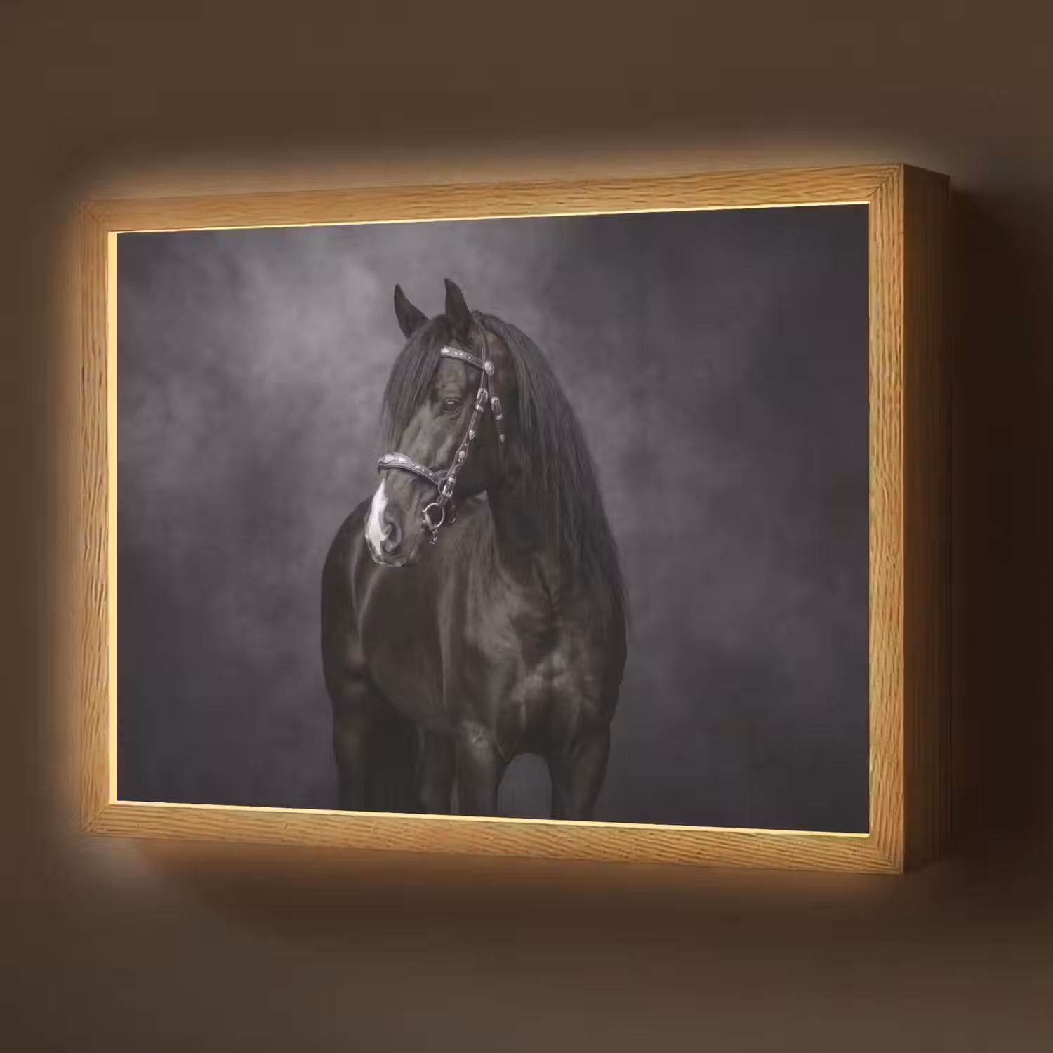 Portret - Paard - Zwart Light Box met batterij (Wandlamp) middel -z3d_website