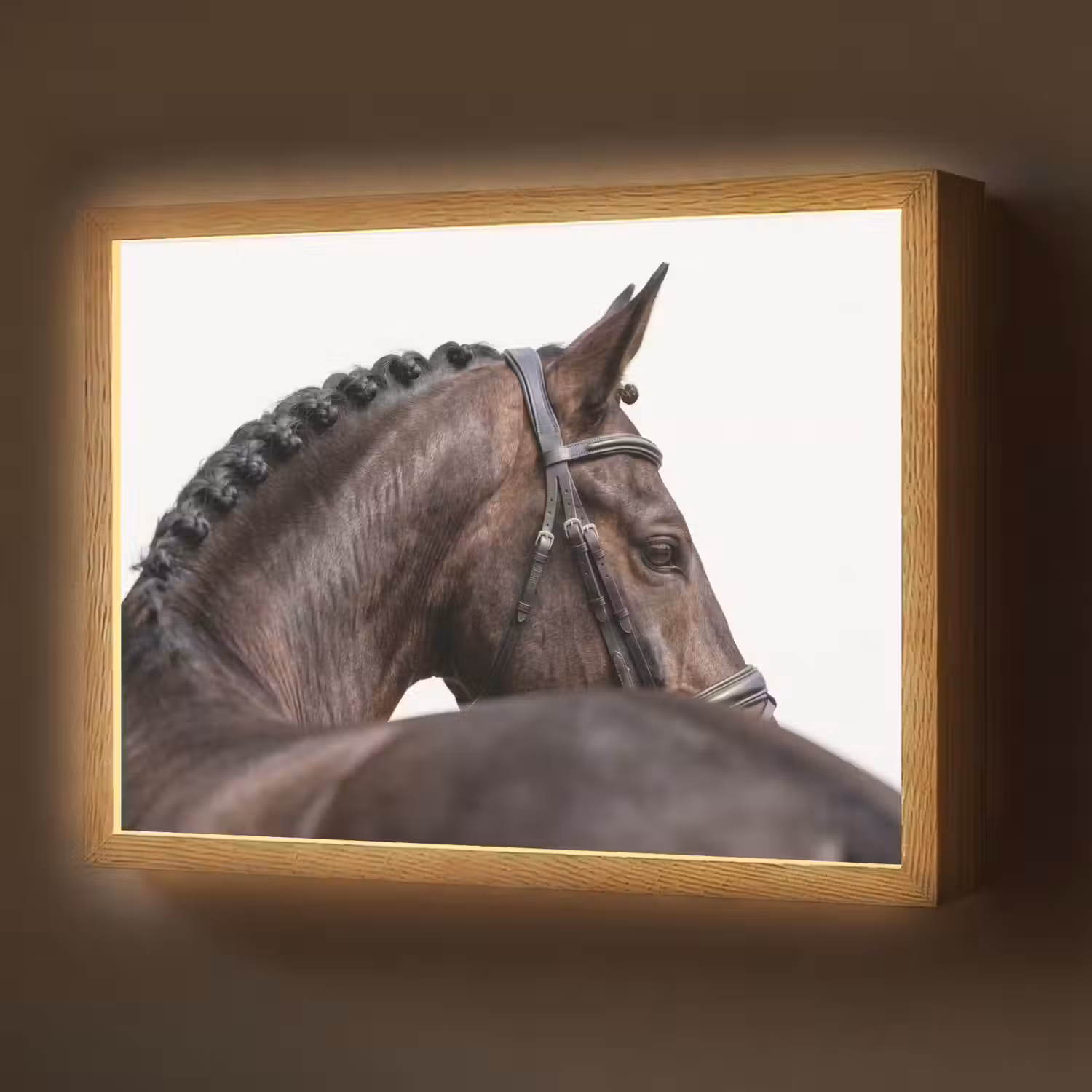 Portret - Paard - Elegant Light Box met batterij (Wandlamp) middel -z3d_website