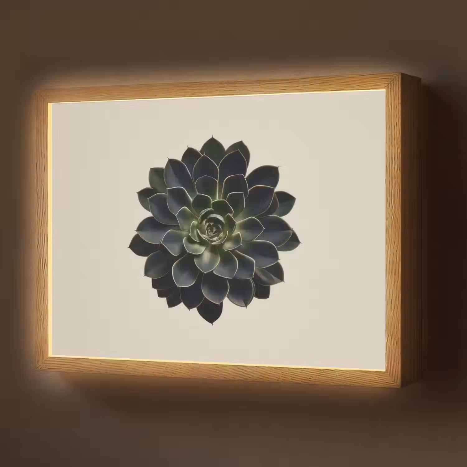 Rozet - Cirkelvormig - Donkergroen Light Box met batterij (Wandlamp) middel -z3d_website