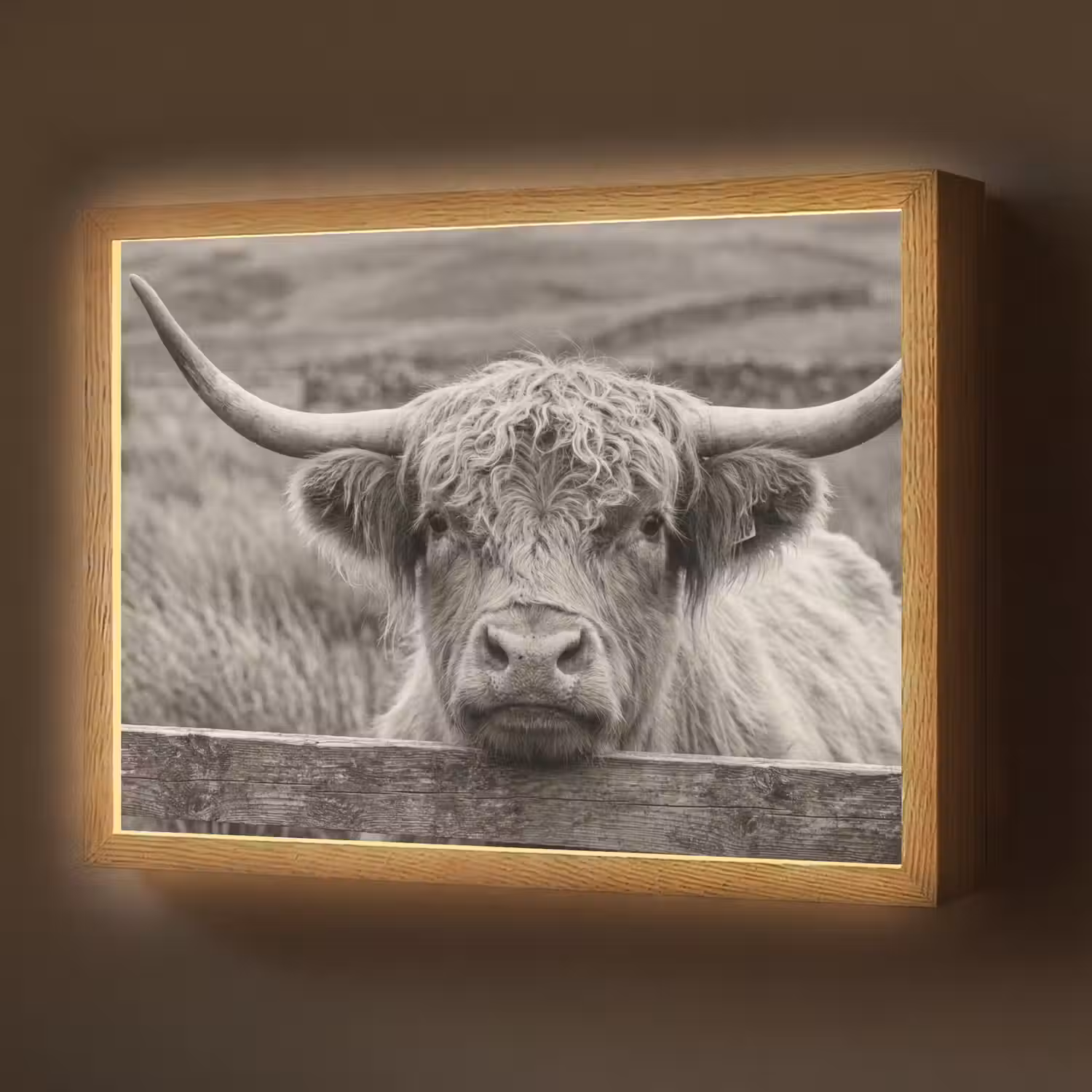 Schotse hooglander - Zwart - Wit - Hout Light Box met batterij (Wandlamp) middel -z3d_website