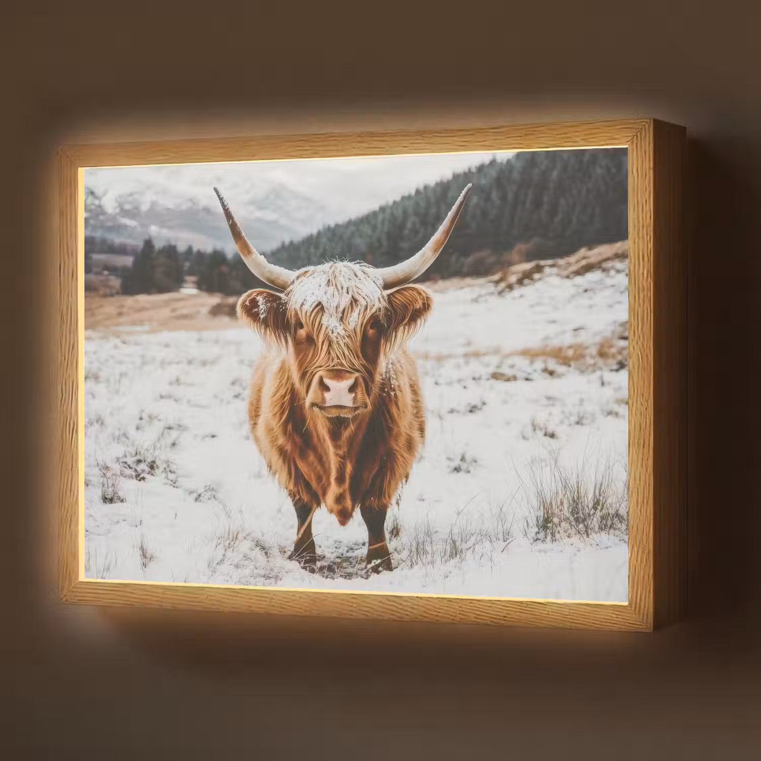 Schotse Hooglander - Landschap - Sneeuw - Bergen - Winter Light Box met batterij (Wandlamp) middel -z3d_website