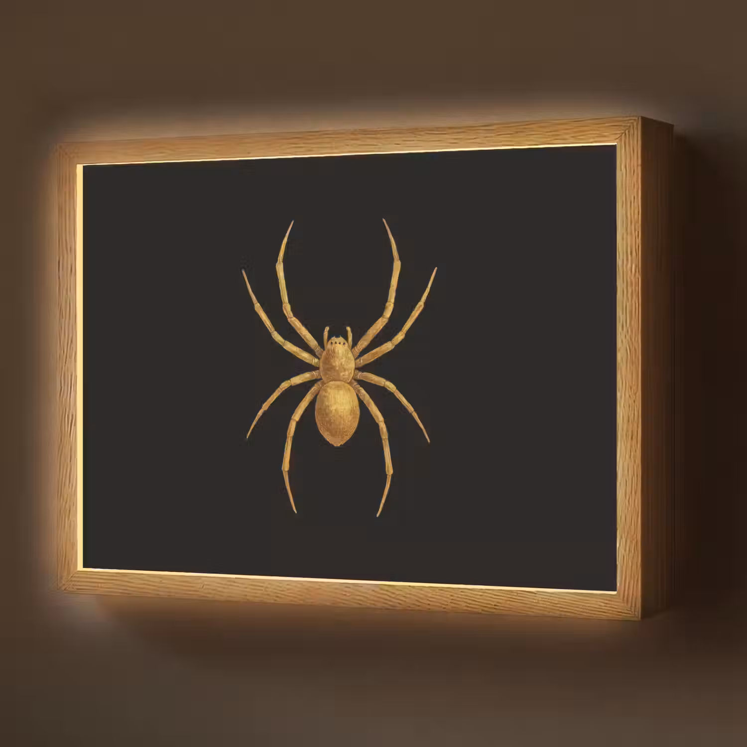 Spin - Goud - Minimalistisch - Poten Light Box met batterij (Wandlamp) middel -z3d_website