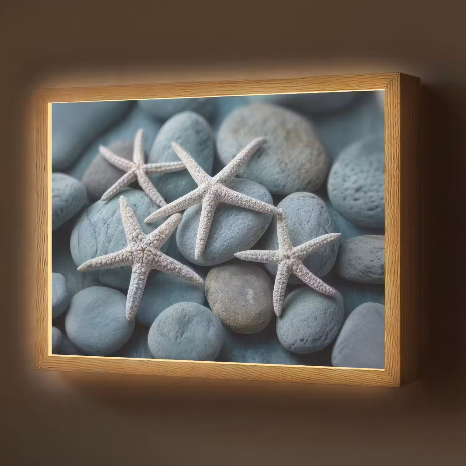 Zeesterren - Stenen - Wit Light Box met batterij (Wandlamp) middel -z3d_website