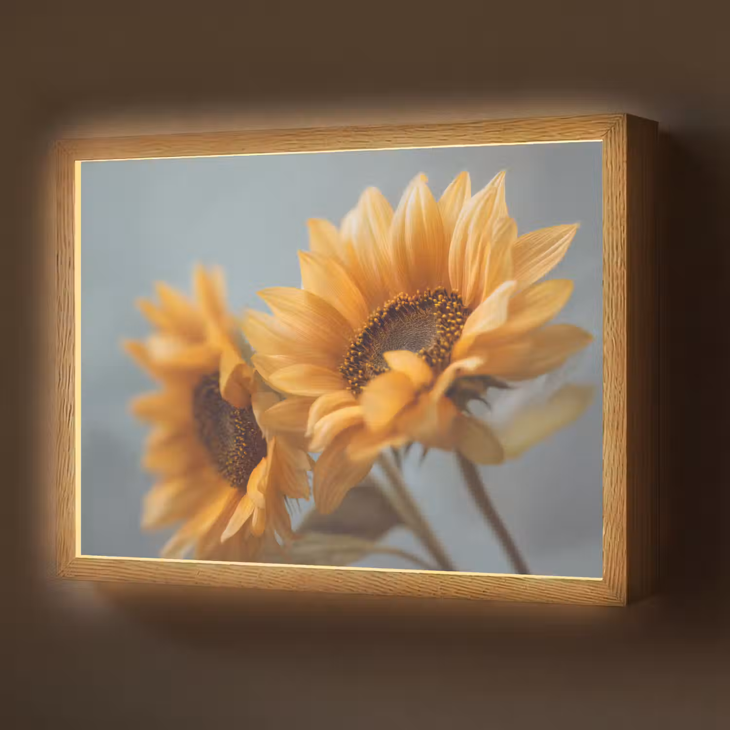 Zonnebloemen - Geel - Wazig Light Box met batterij (Wandlamp) middel -z3d_website
