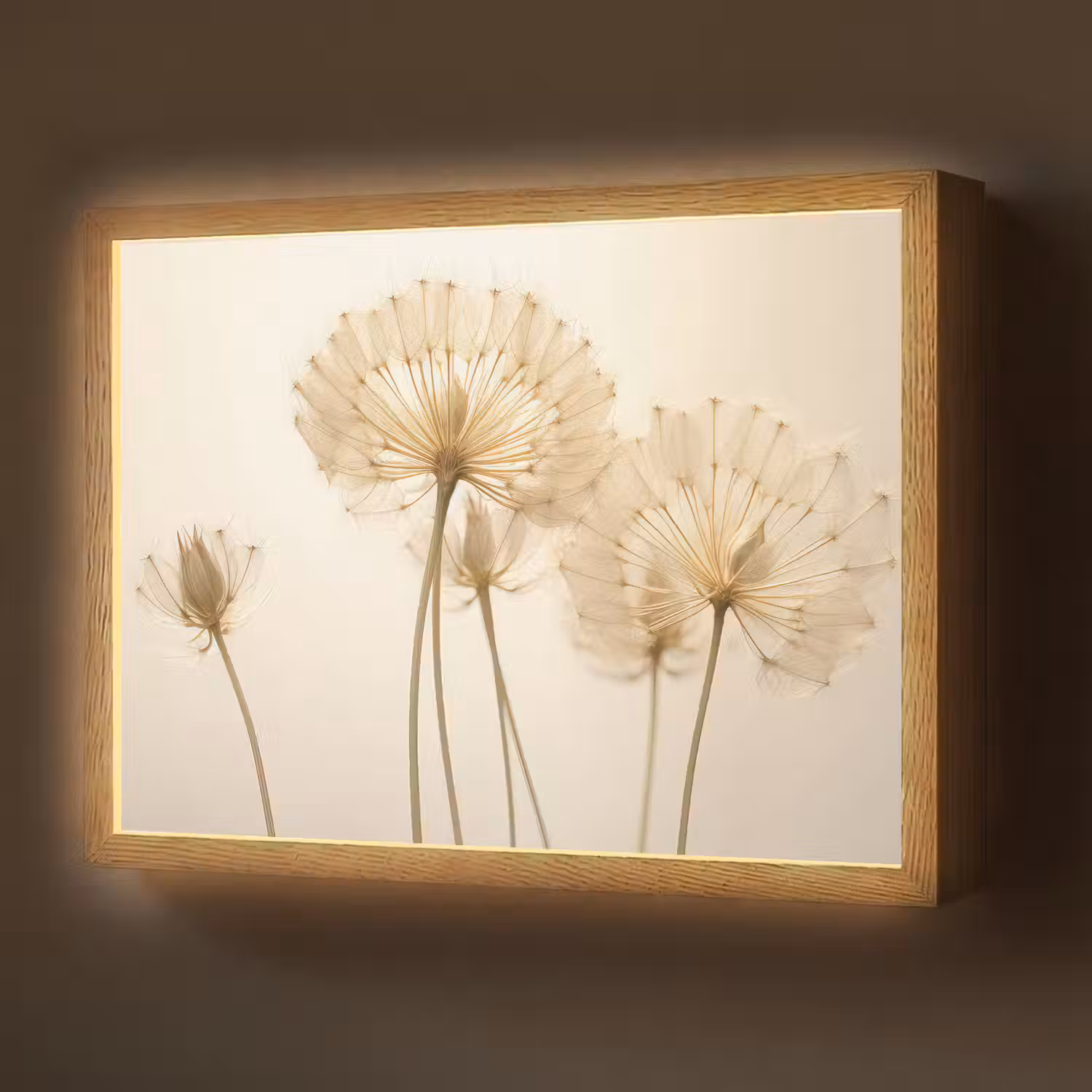 Zonlicht - Paardenbloem - Botanisch - Bloemen Light Box met batterij (Wandlamp) middel -z3d_website