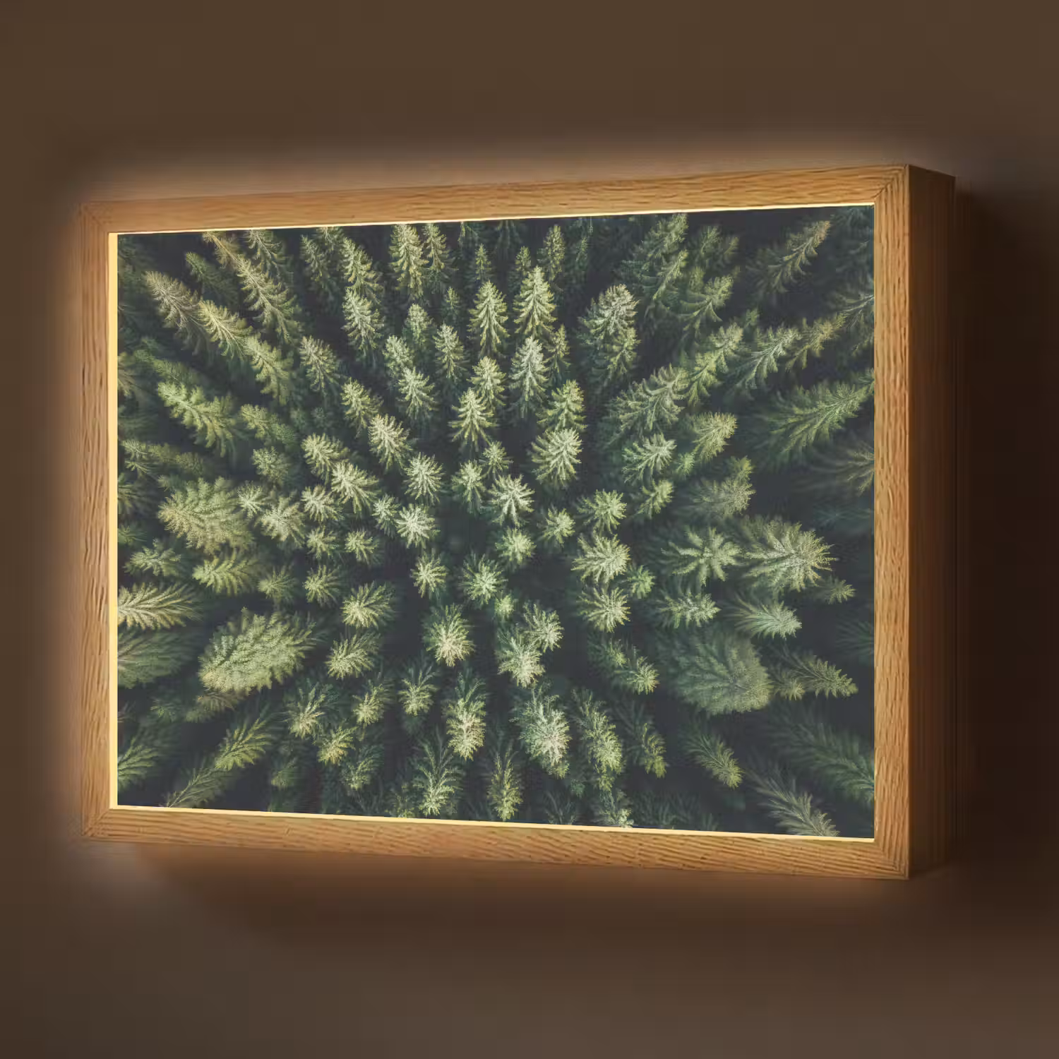 Bomen - Naaldwoud - Structuur Light Box met batterij (Wandlamp) middel -z3d_website