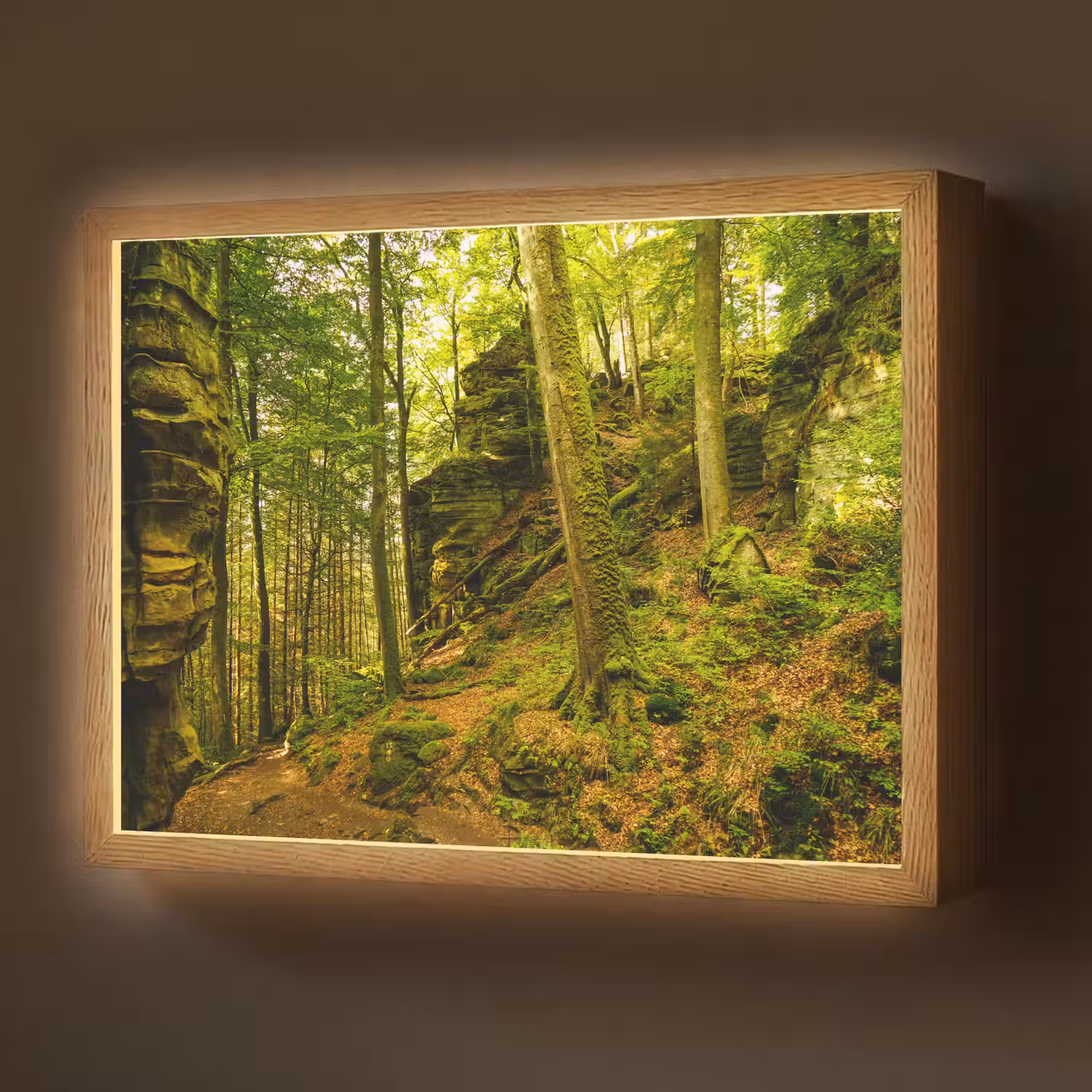 Bomen - Steen - Bos - Natuur - Planten Light Box met batterij (Wandlamp) middel -z3d_website