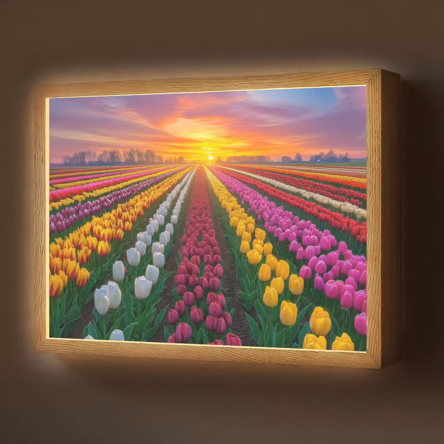 Tulpenveld - Zonsondergang - Kleurrijk Light Box met batterij (Wandlamp) middel -z3d_website