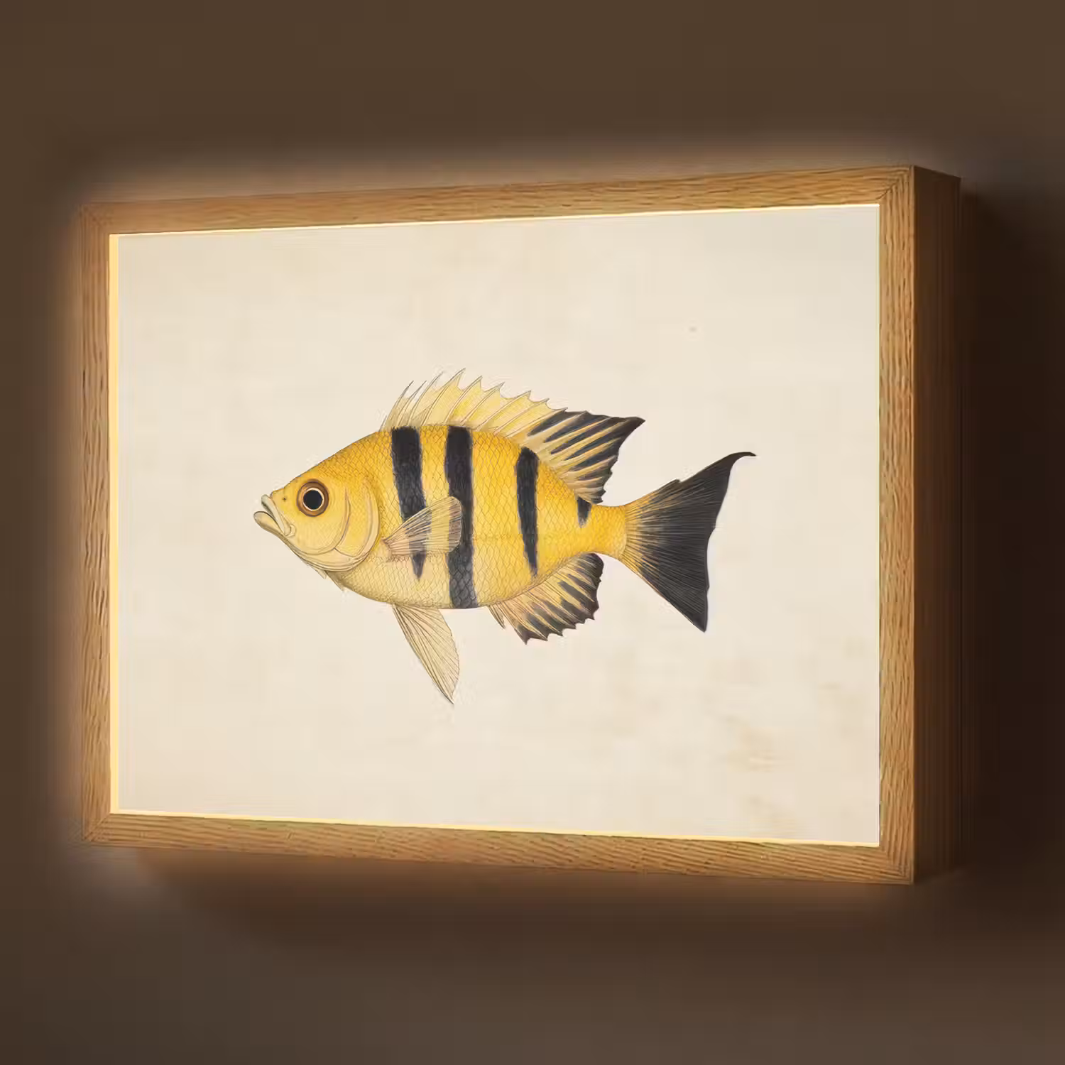 Geel - Vis - Strepen - Tropisch Light Box met batterij (Wandlamp) middel -z3d_website