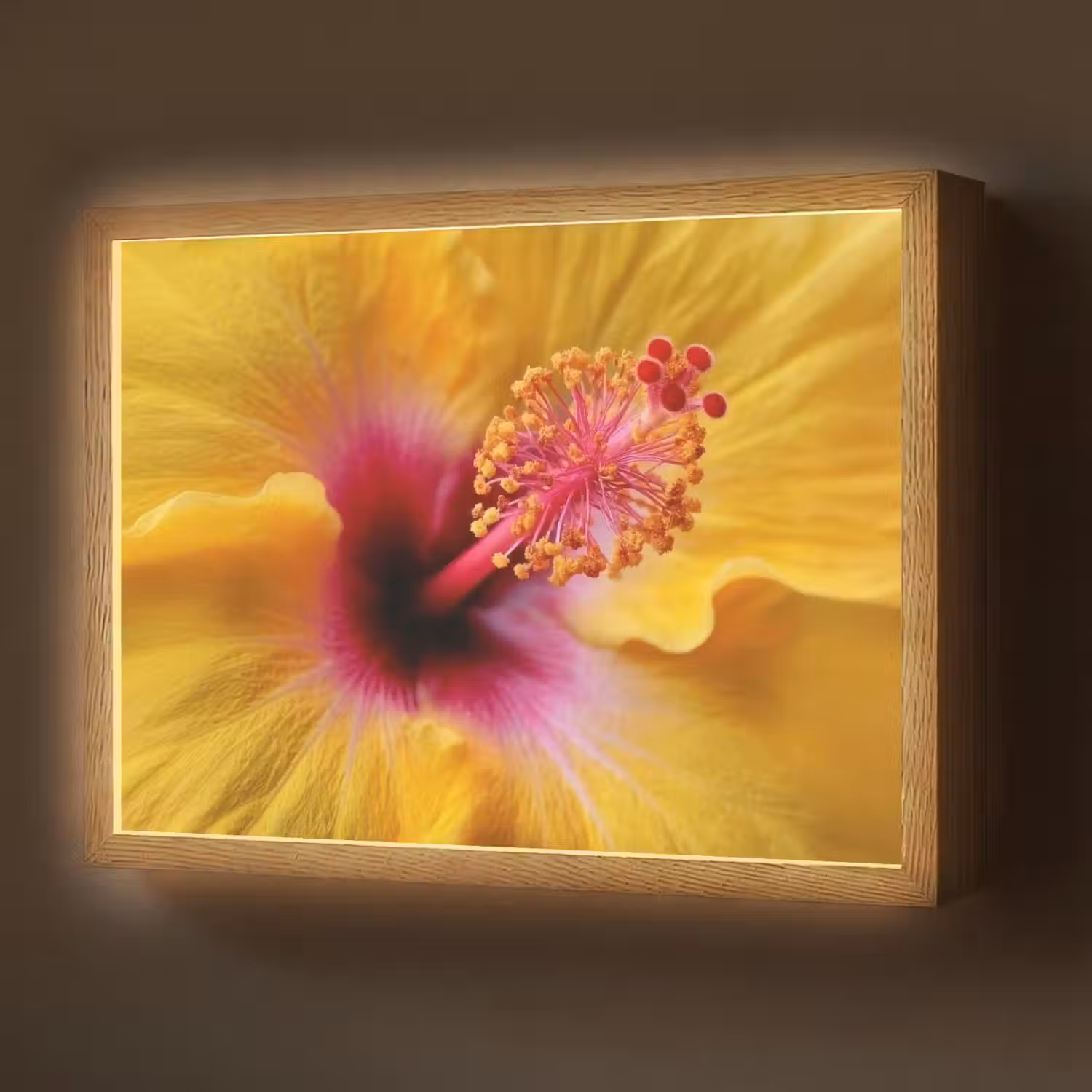 Geel - Hibiscus - Tropisch Light Box met batterij (Wandlamp) middel -z3d_website