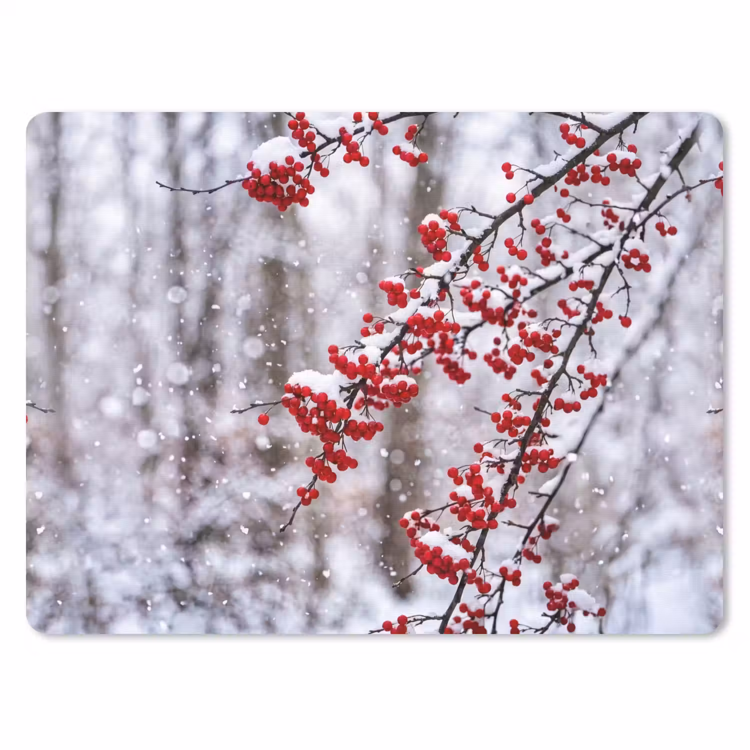 Bessen - Takken - Sneeuw - Winter - Kleurrijk muismat rubber klein -3d