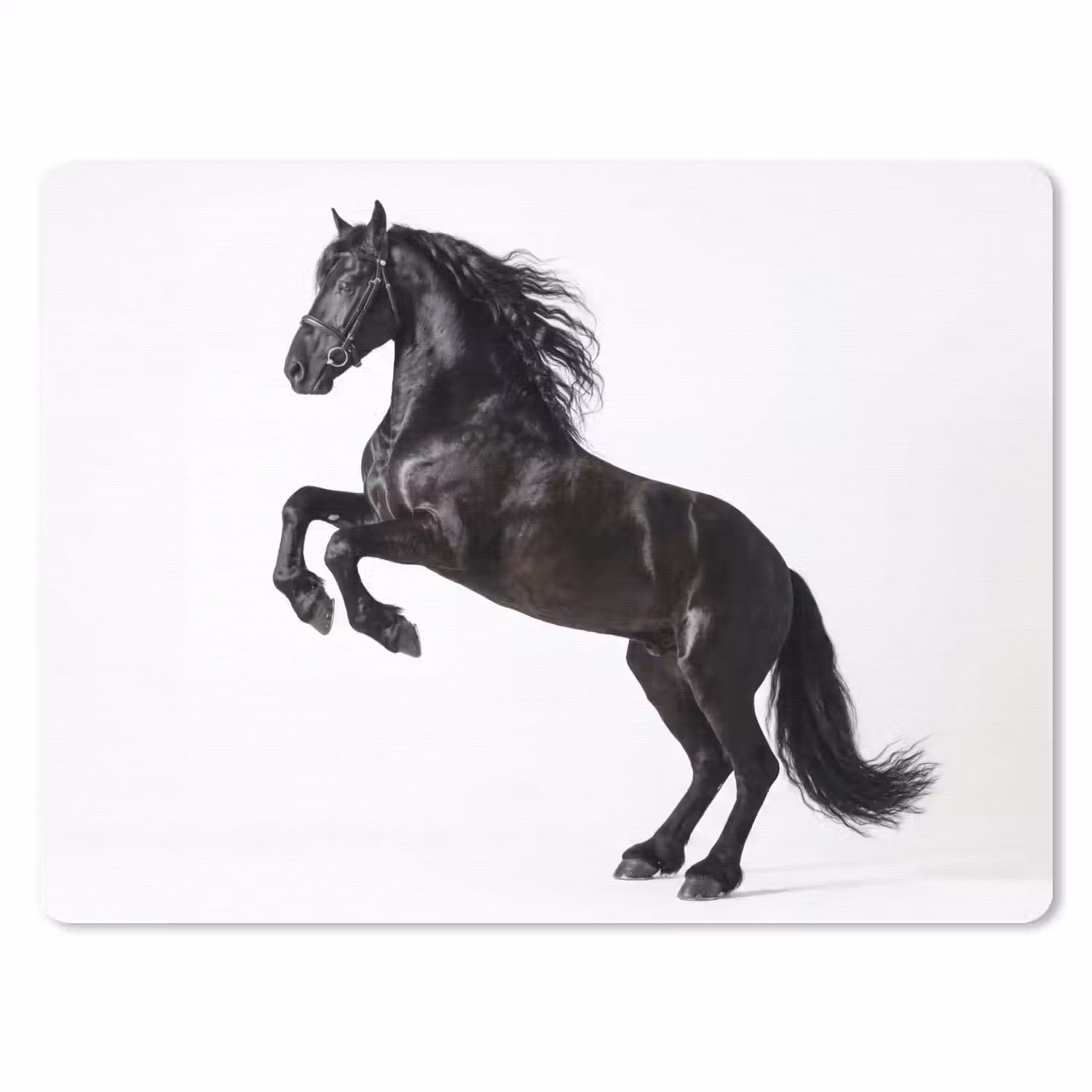 Zwart - Paard - Portret muismat rubber klein -3d