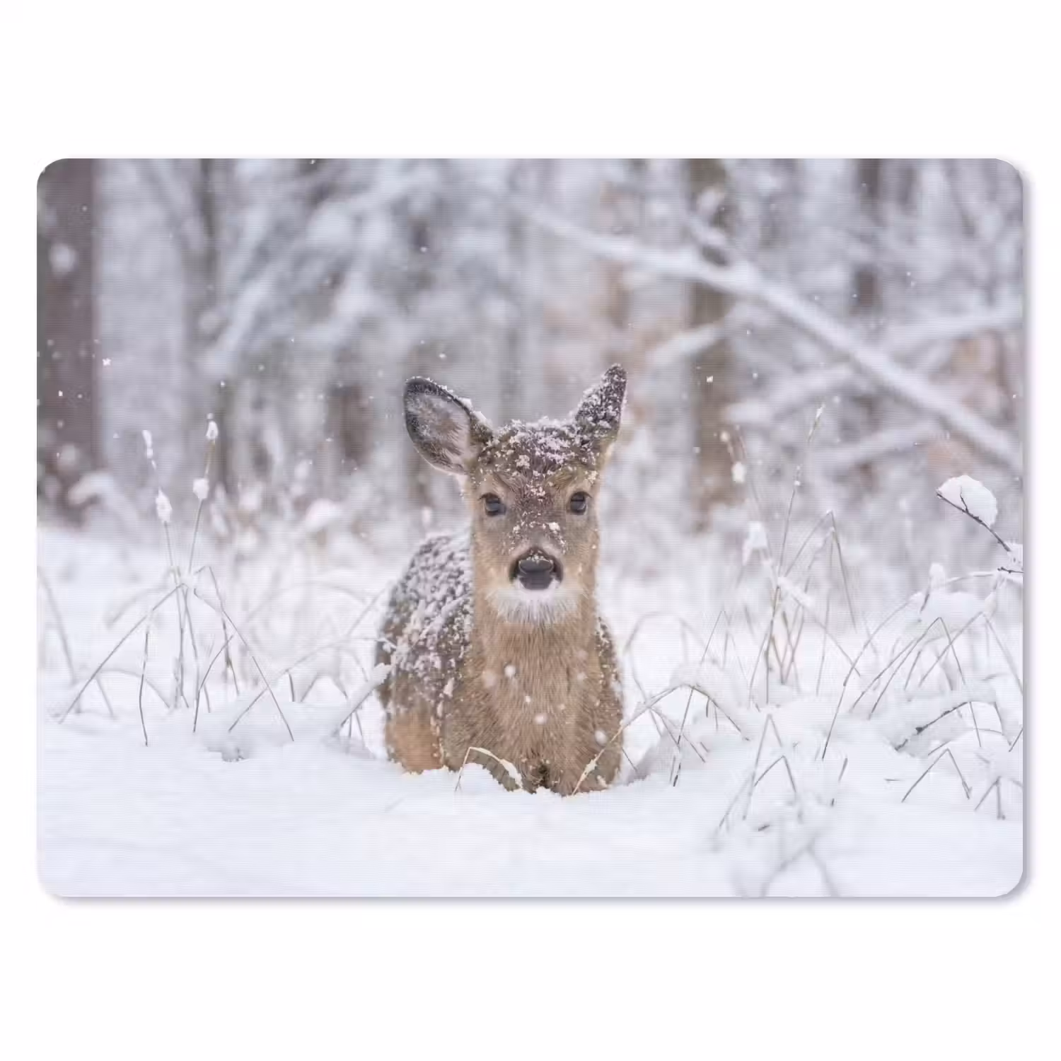 Hert - Sneeuw - Bos - Dieren - Vertederend muismat rubber klein -3d