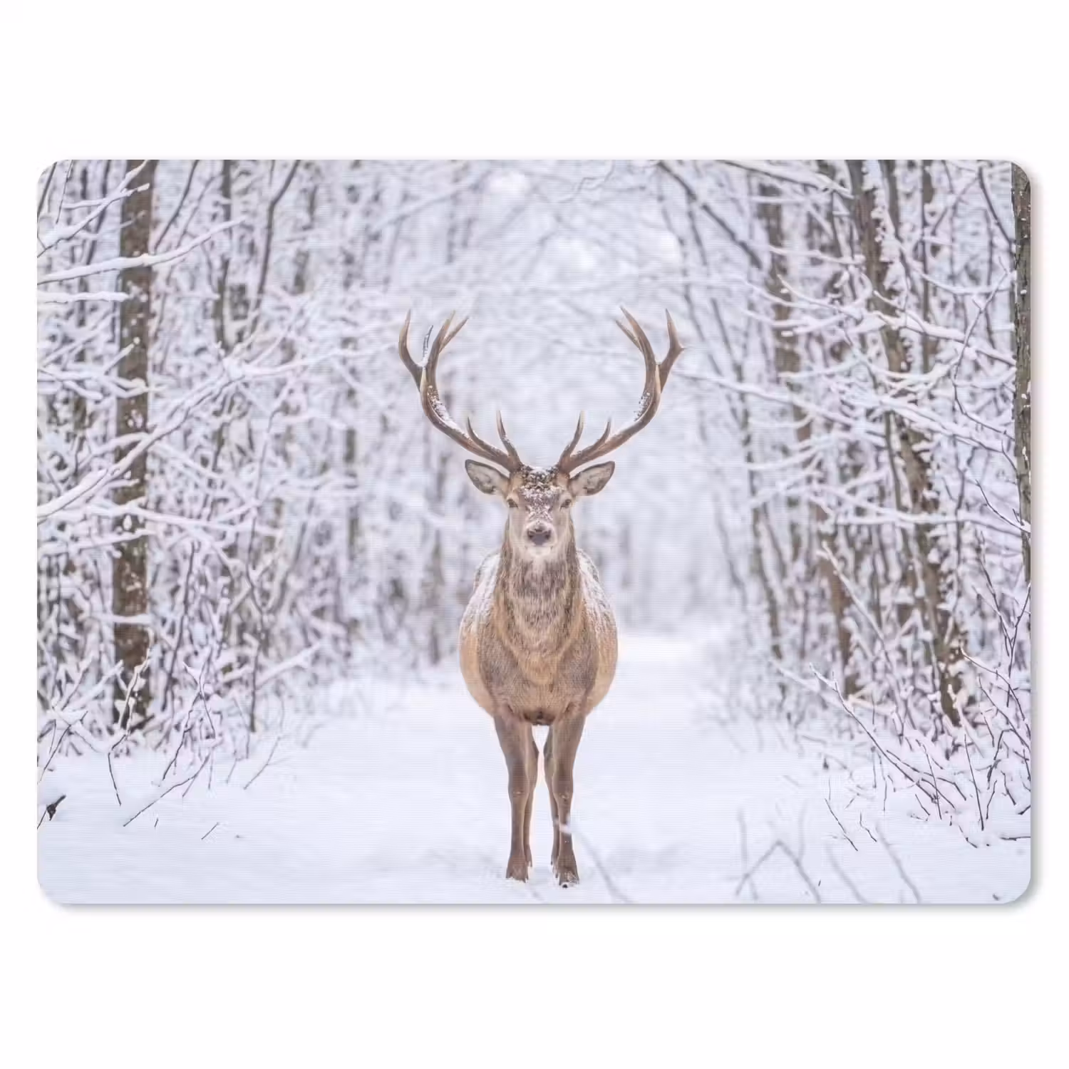 Hert - Winter - Bos - Natuur - Wit muismat rubber klein -3d