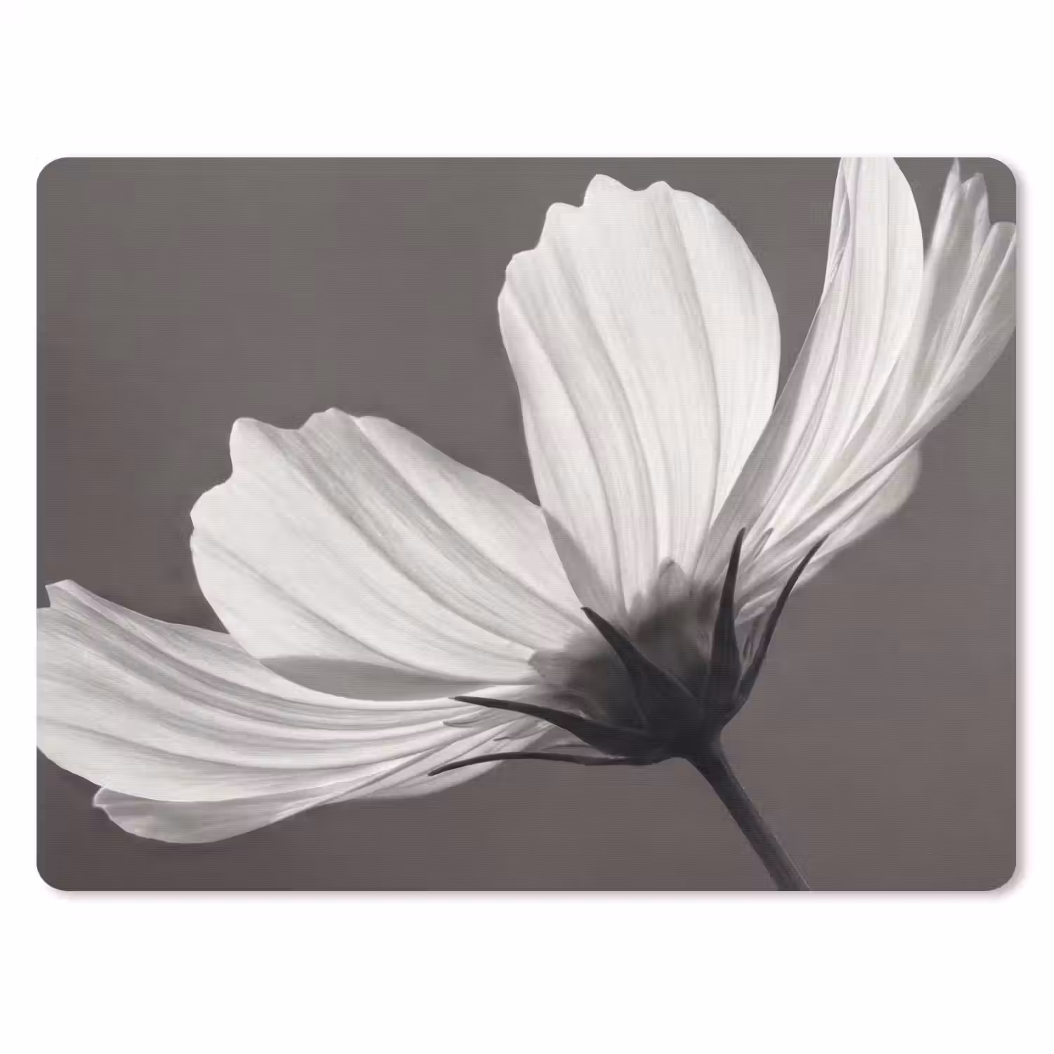 Bloem - Minimalistisch - Zwart - Wit muismat rubber klein -3d