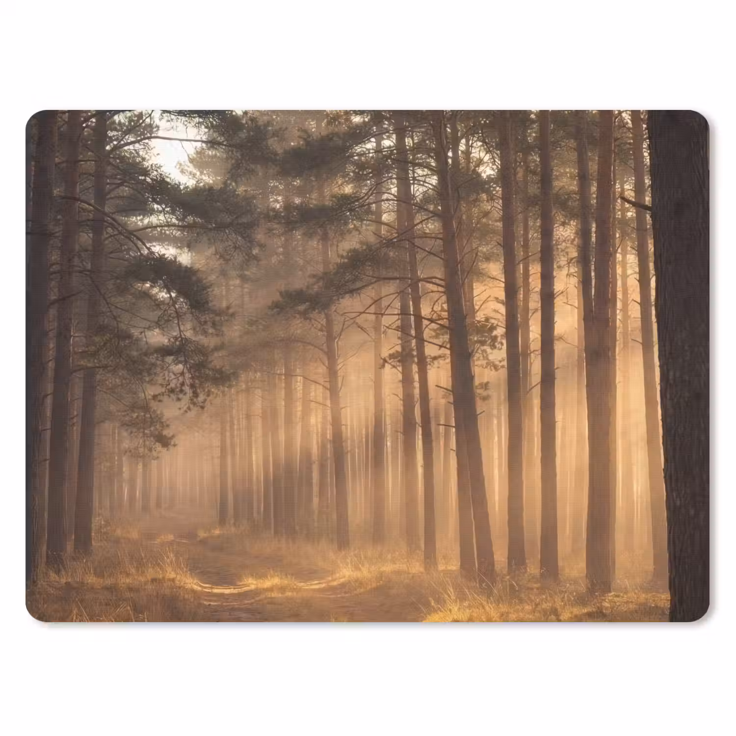 Bos - Mist - Zonlicht muismat rubber klein -3d