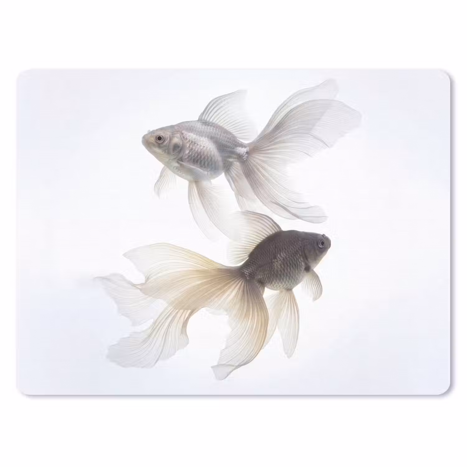 Goudvissen - Modern - Wit muismat rubber klein -3d