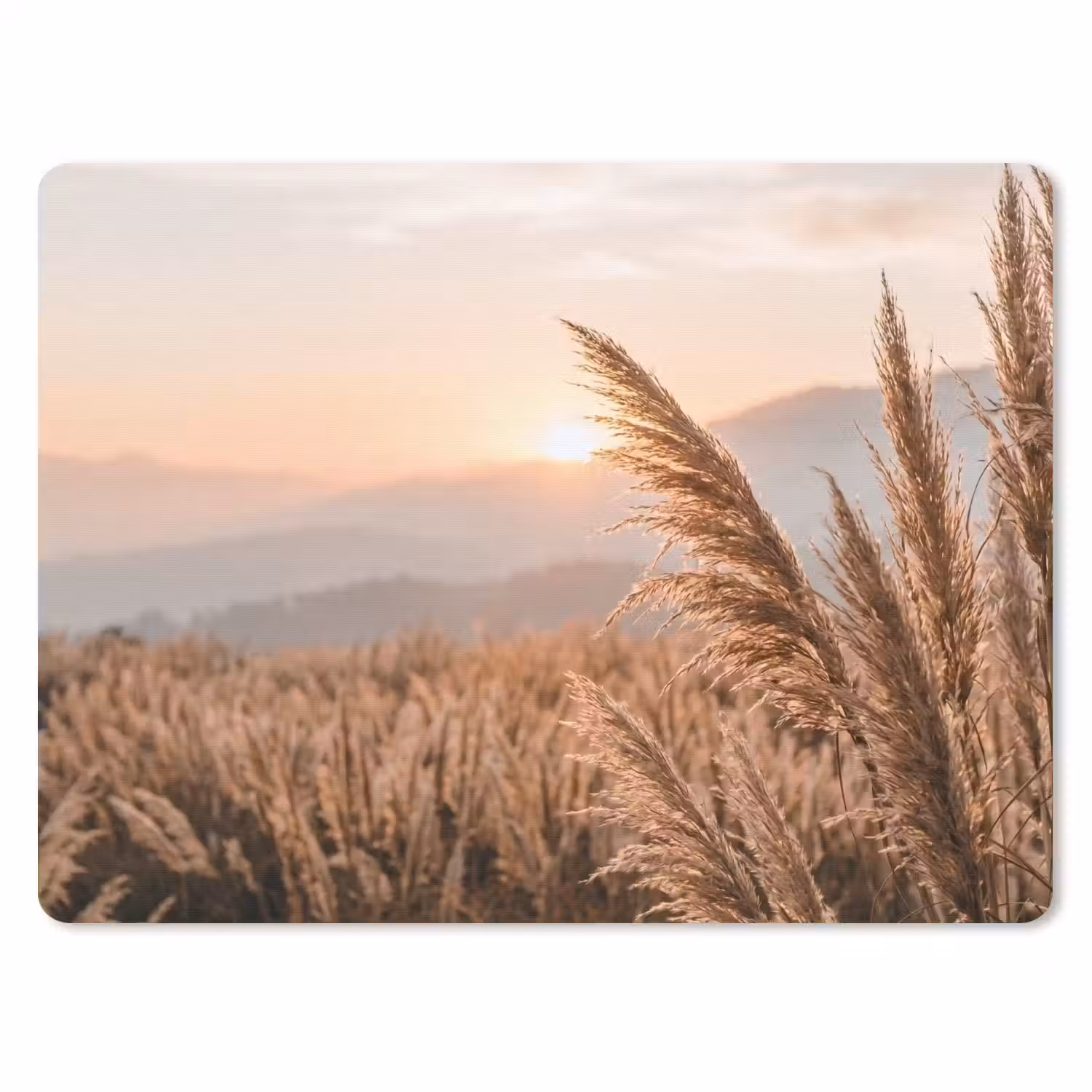 Gras - Veld - Zon - Natuur muismat rubber klein -3d