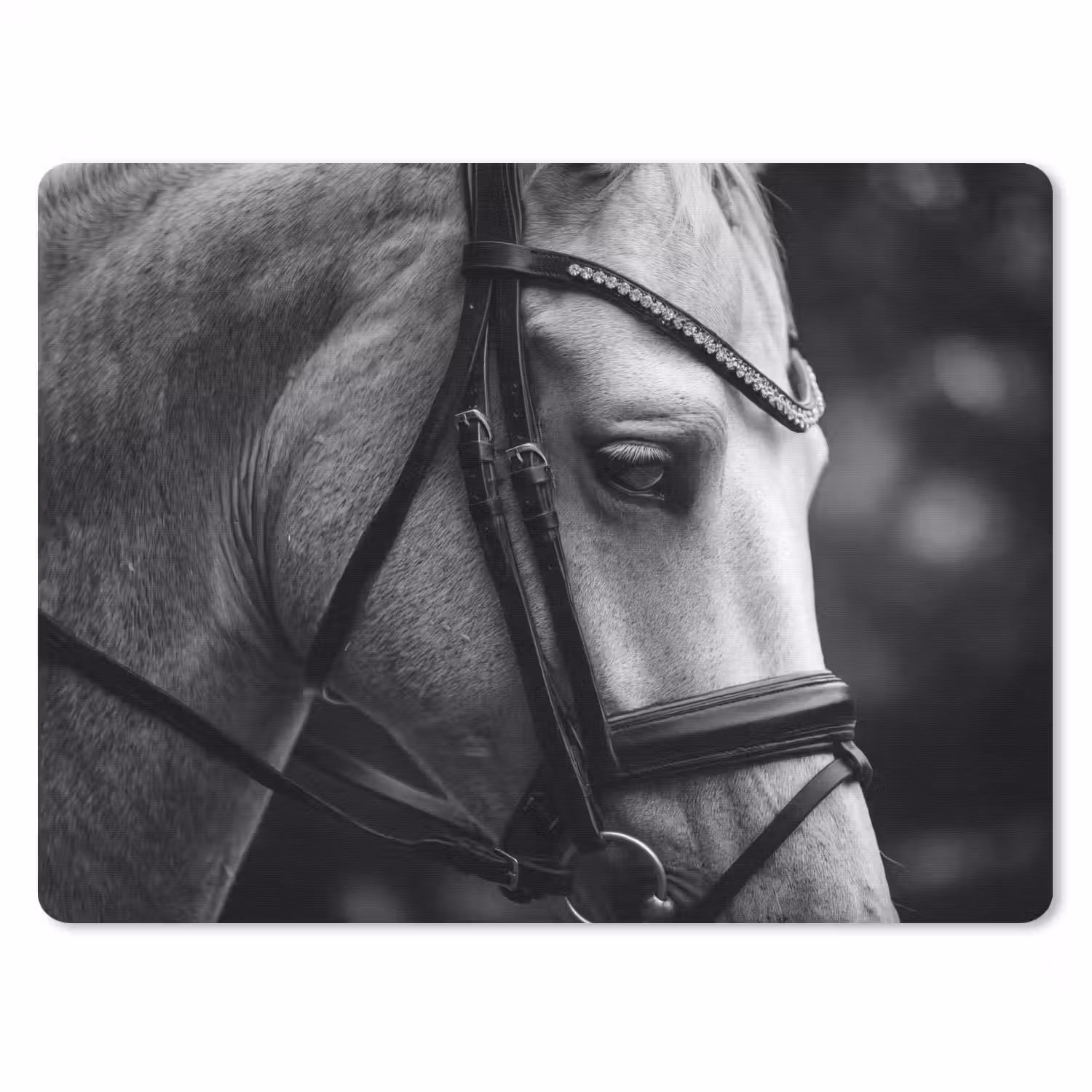 Paard - Schimmel - Portret muismat rubber klein -3d