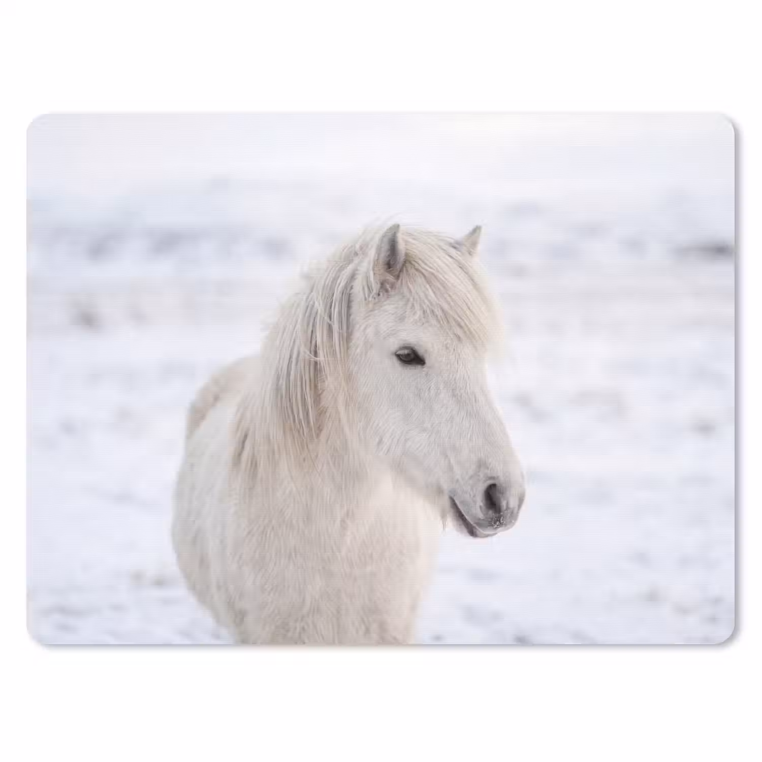 Paard - Kop - Winter - Dieren - Wit muismat rubber klein -3d