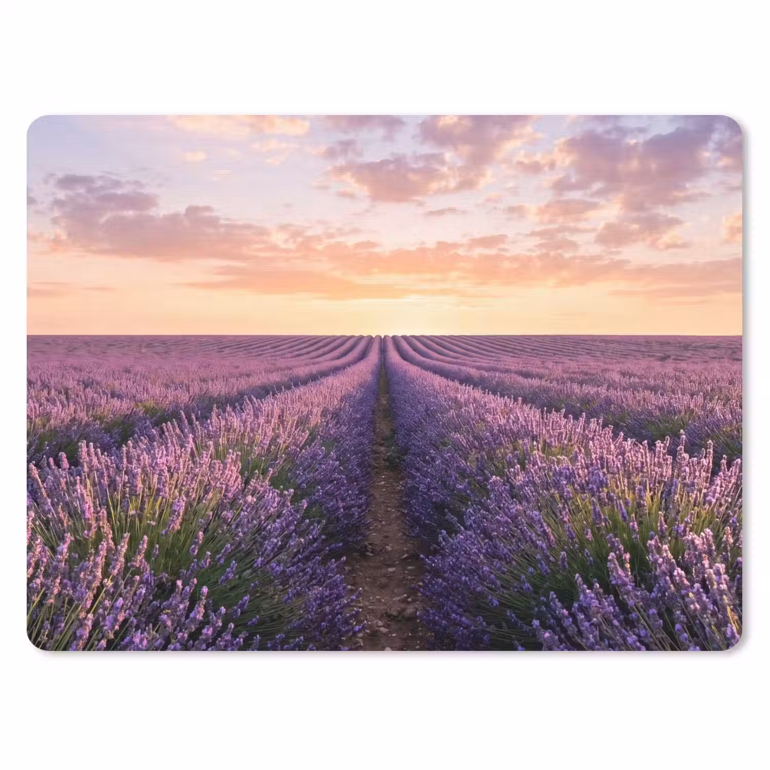 Landschap - Lavendelveld - Paars muismat rubber klein -3d