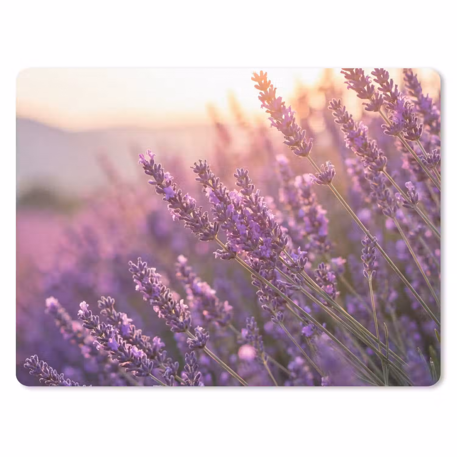 Lavendel - Paars - Zonlicht muismat rubber klein -3d