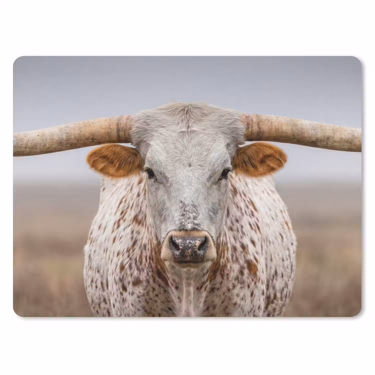 Longhorn - Grasveld - Dier muismat rubber klein -3d
