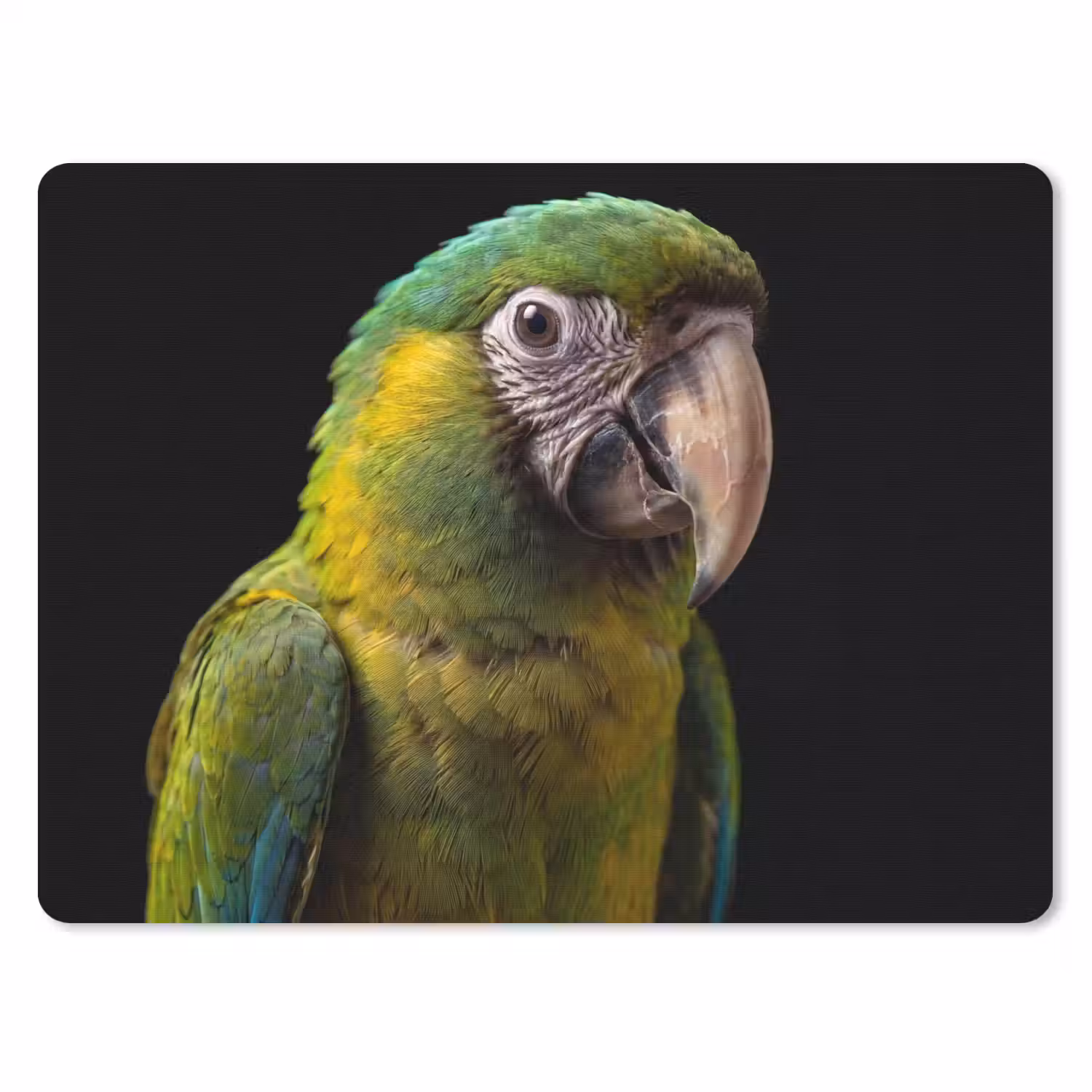 Ara - Portret - Groen muismat rubber klein -3d