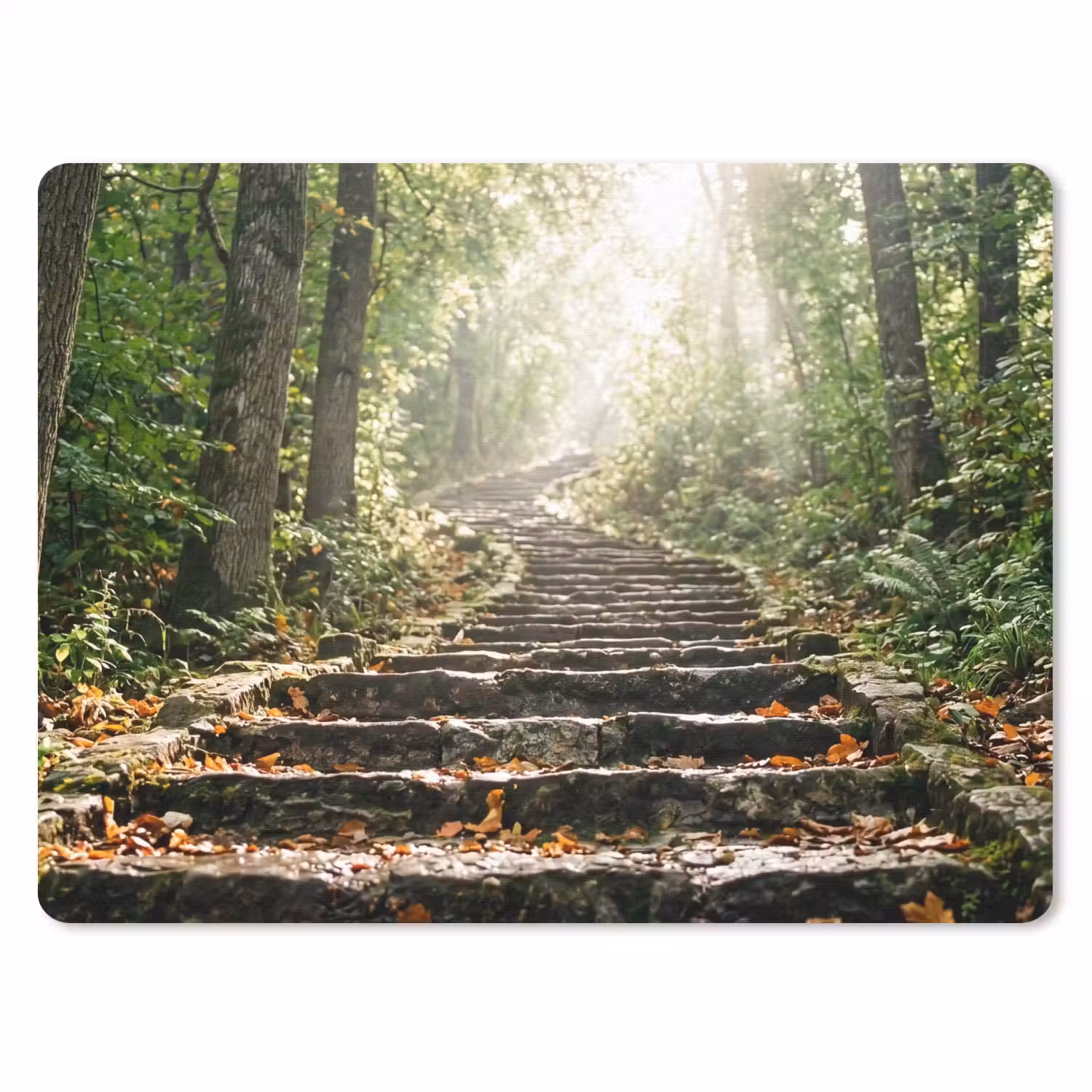 Stenen - Trap - Bos - Natuur muismat rubber klein -3d