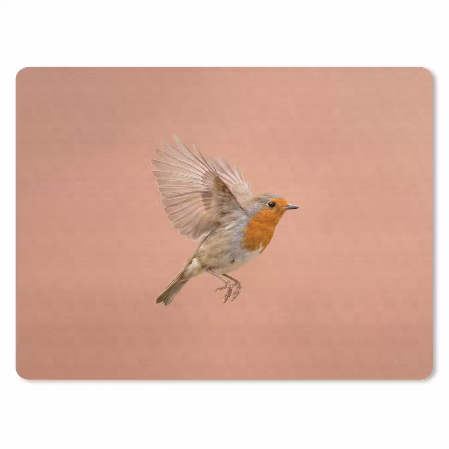 Roodborst - Natuur - Roze muismat rubber klein -3d